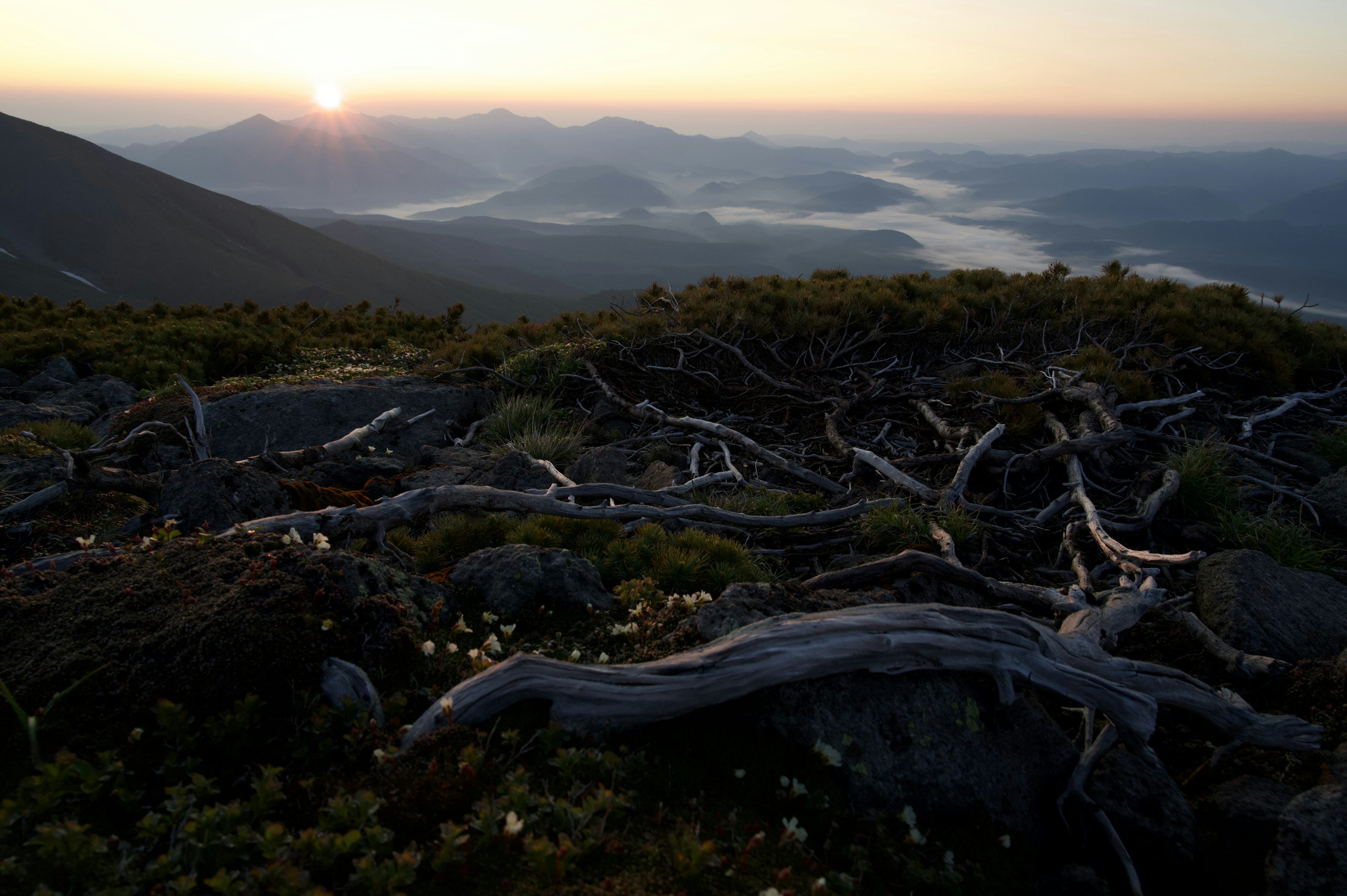 美しい山景色の夕日と枯れた木の根元