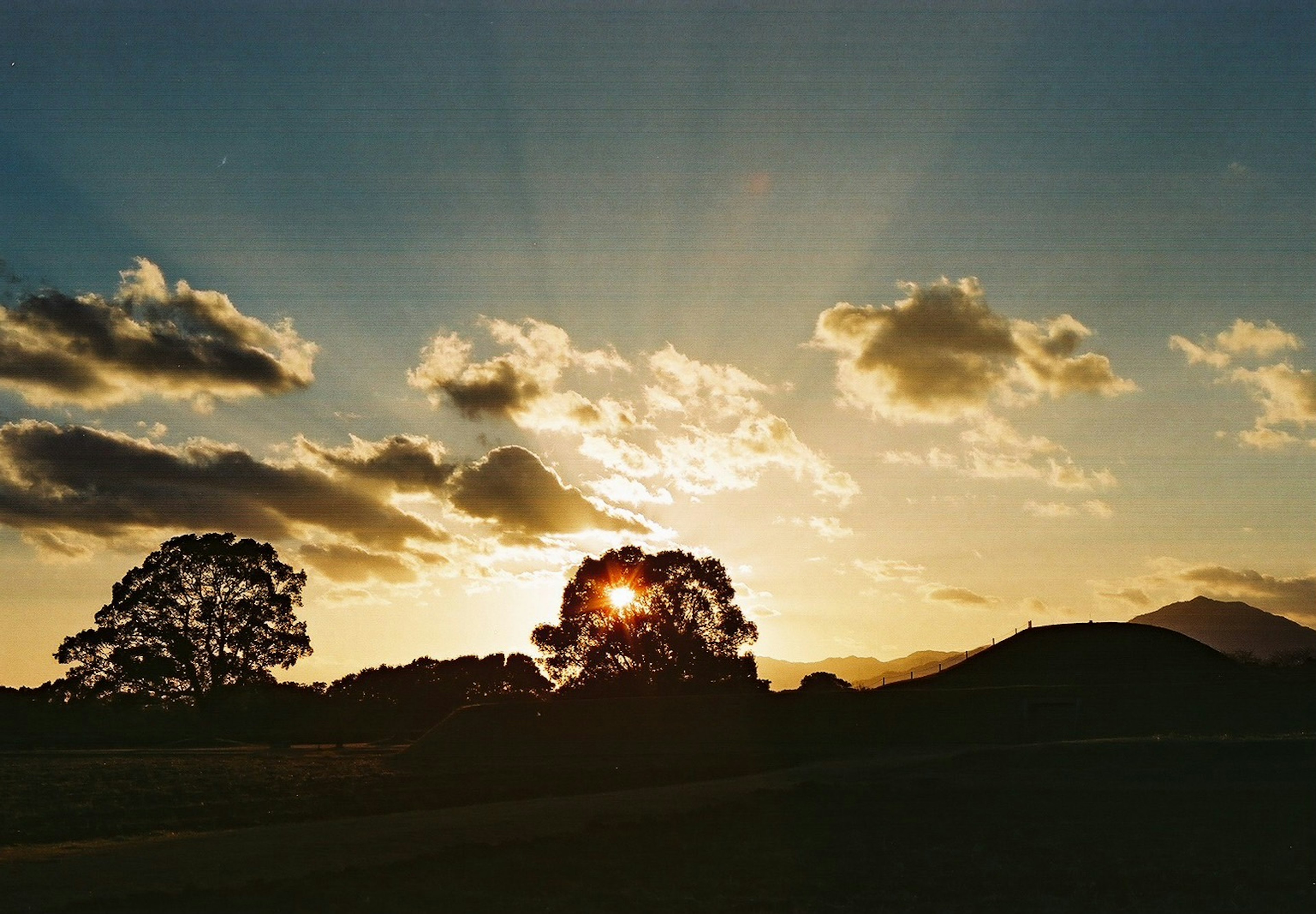 Splendido paesaggio al tramonto con alberi in silhouette e raggi di sole