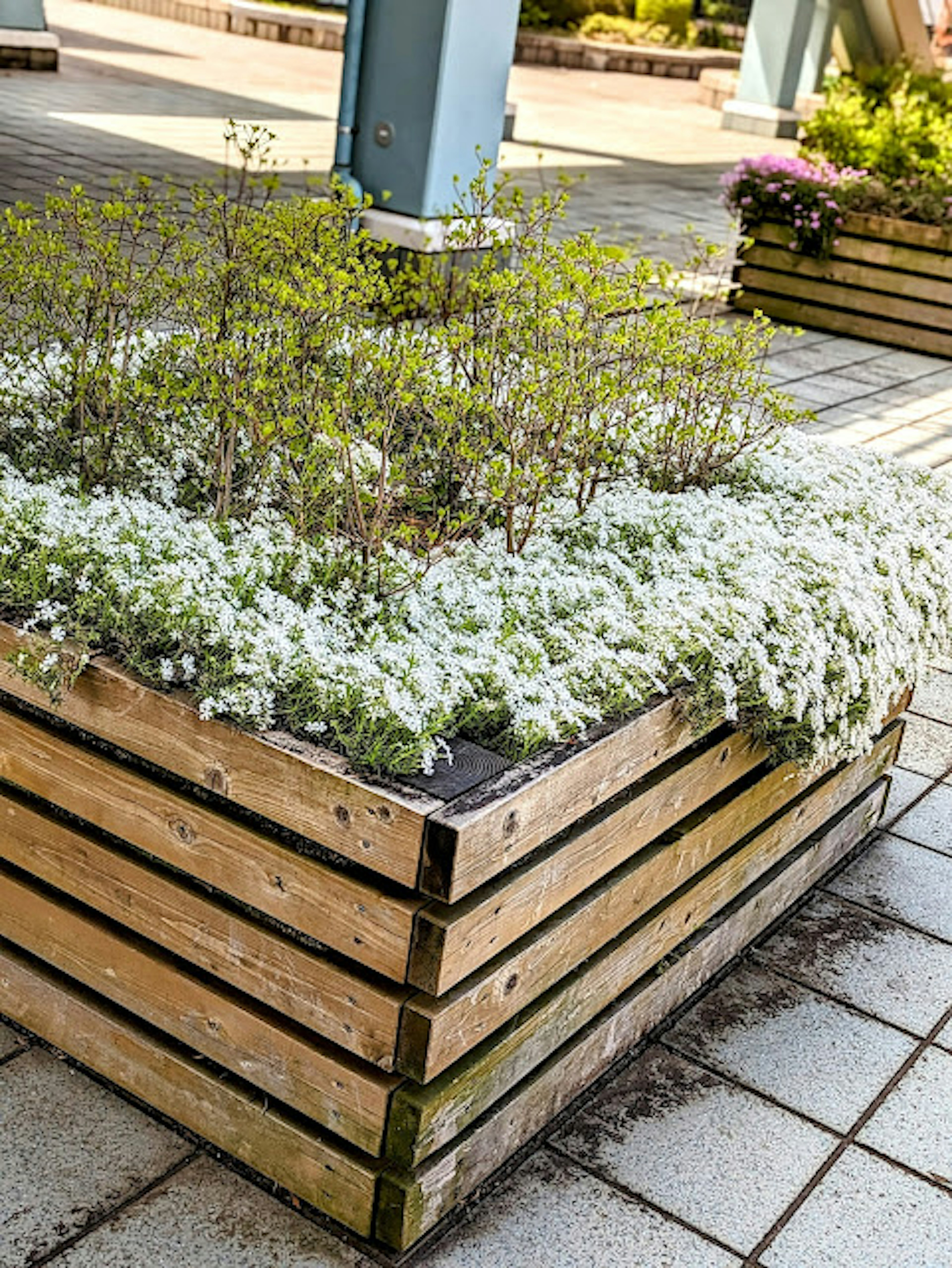 Wooden planter showcasing white flowers and greenery