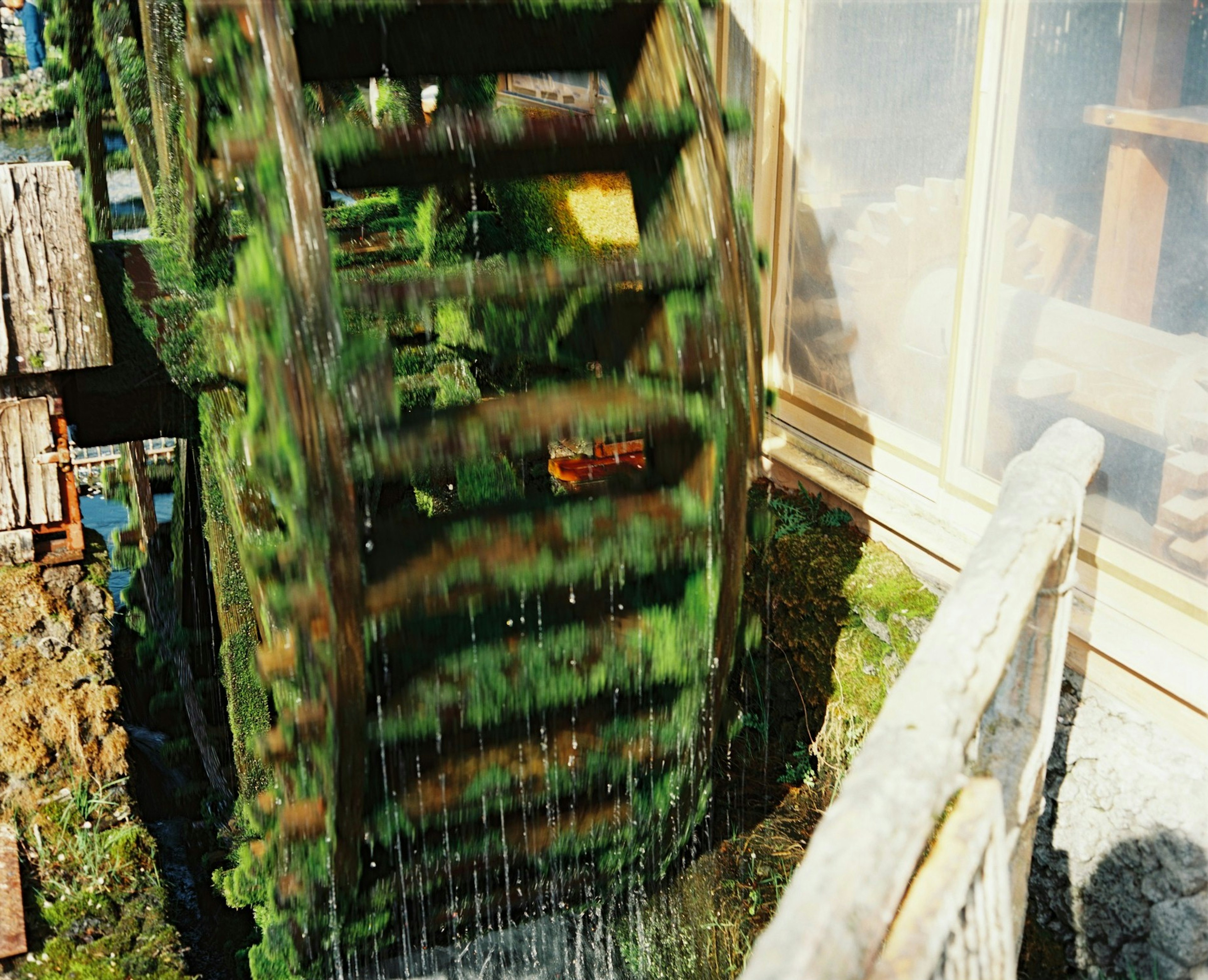 水車と苔のある風景が見える写真