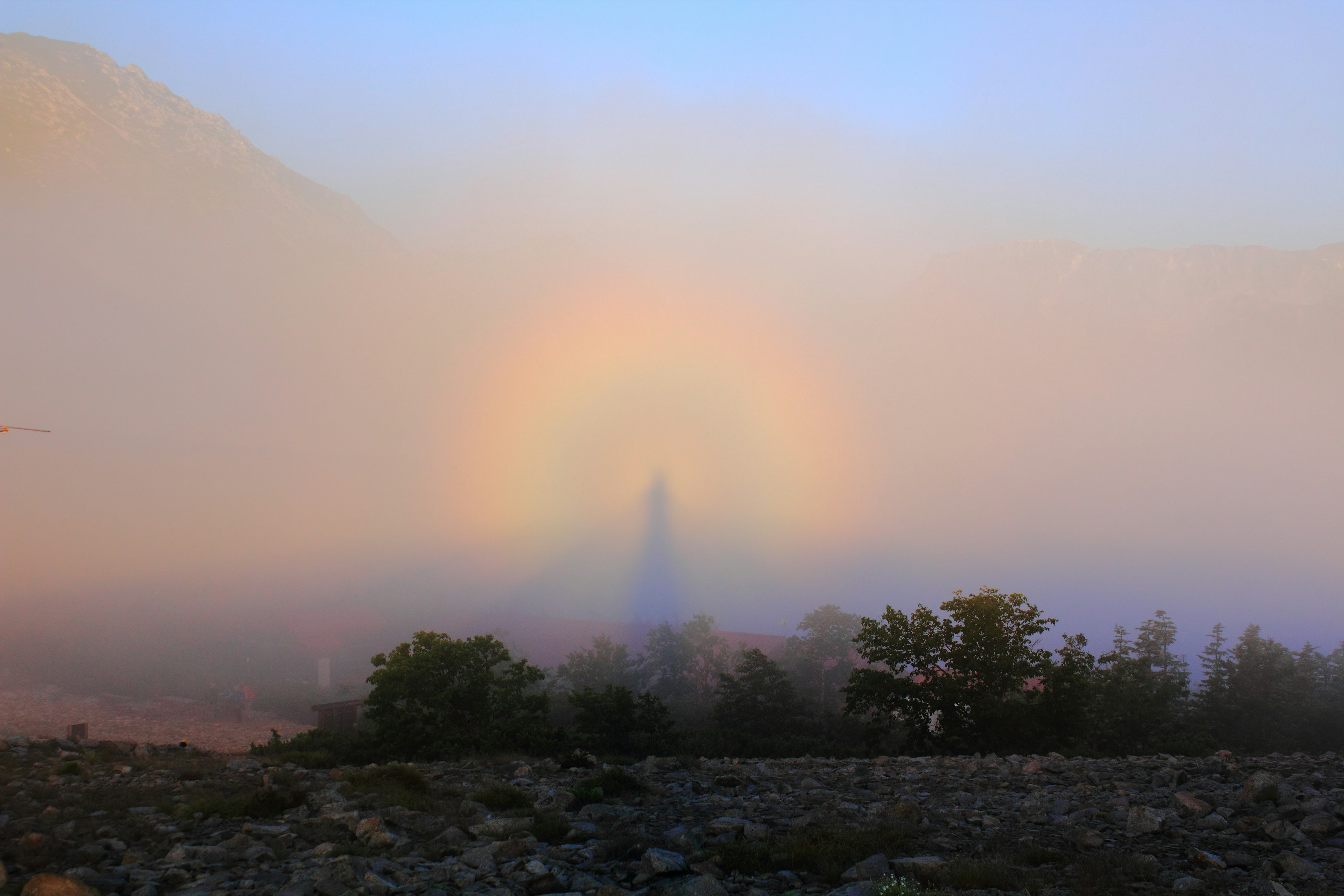 Un halo de arcoíris emergiendo a través de la niebla con siluetas de árboles