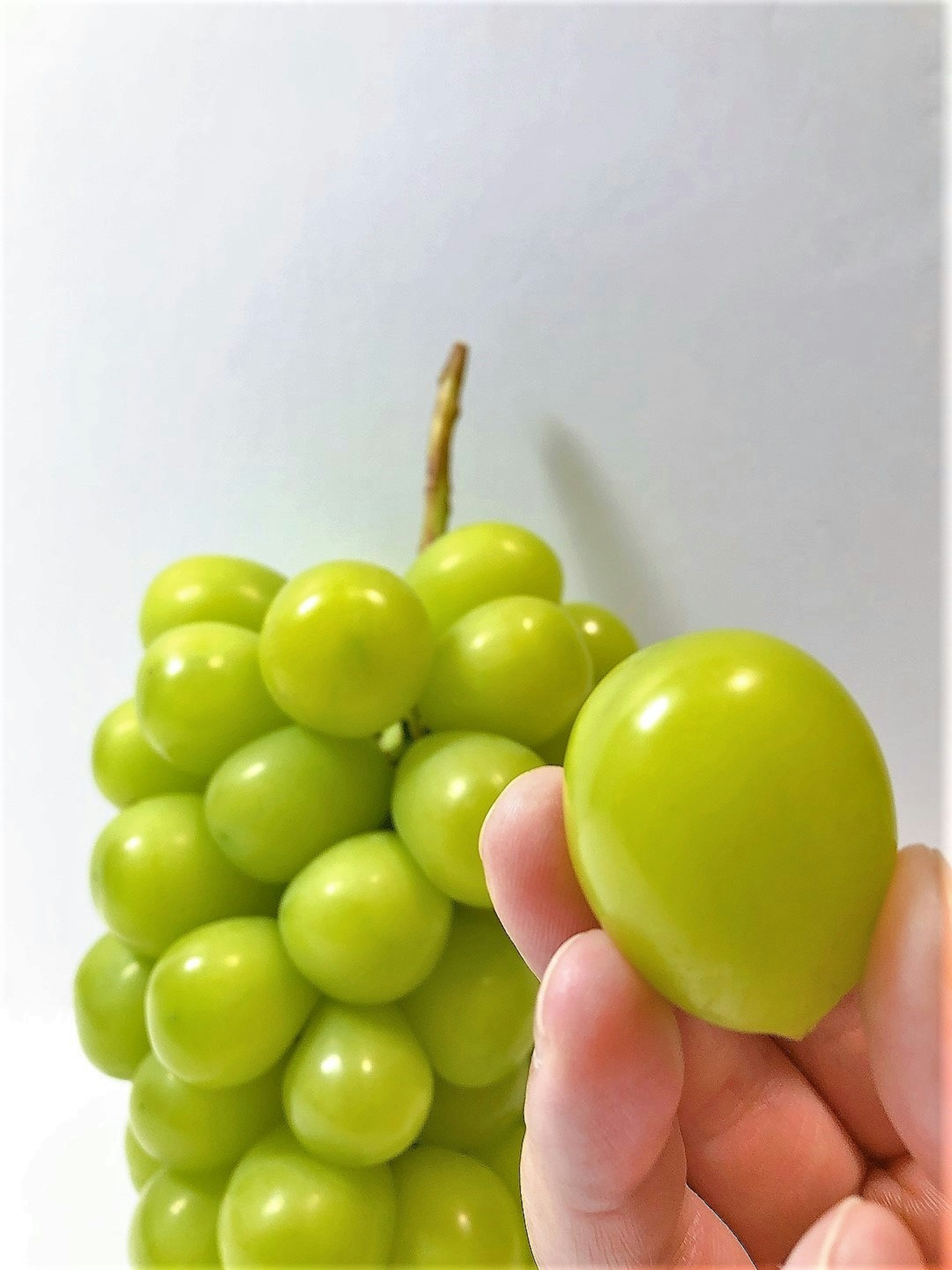 Uvas verdes sostenidas en una mano con un racimo de uvas al fondo