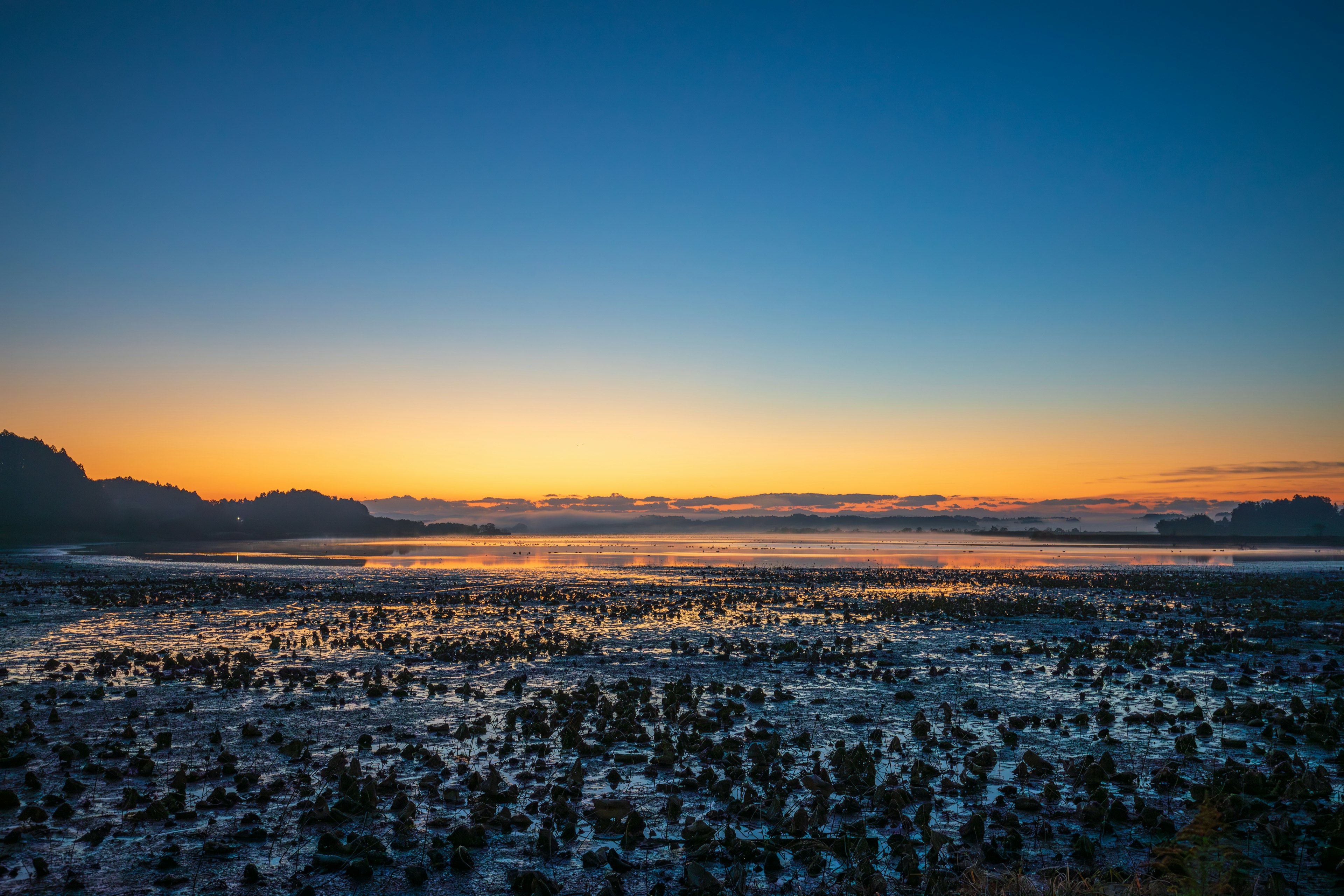 Vue côtière pittoresque au coucher du soleil avec un dégradé de ciel bleu et de teintes orange