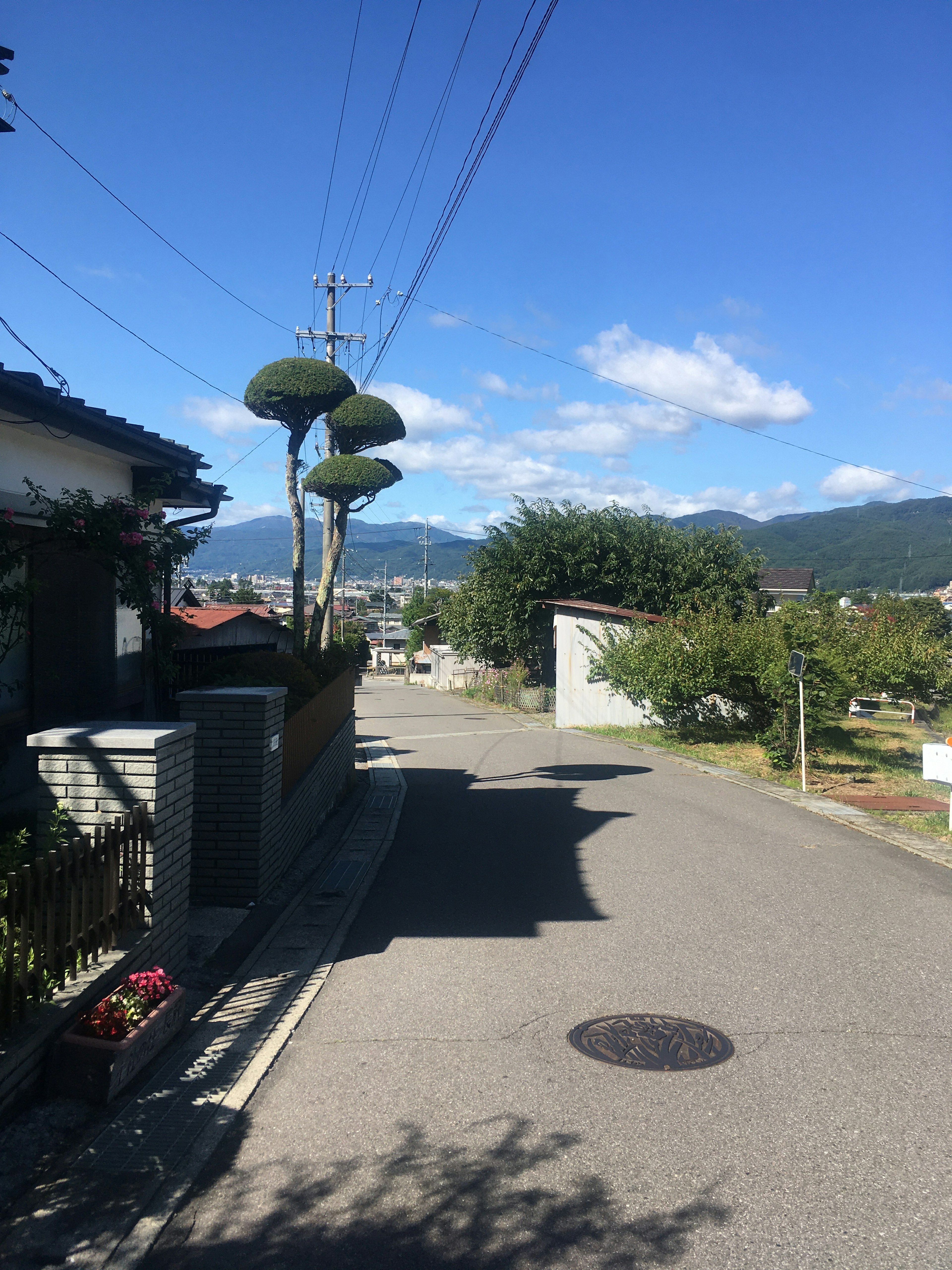 Scène d'une rue résidentielle calme sous un ciel bleu avec des arbres taillés et des montagnes