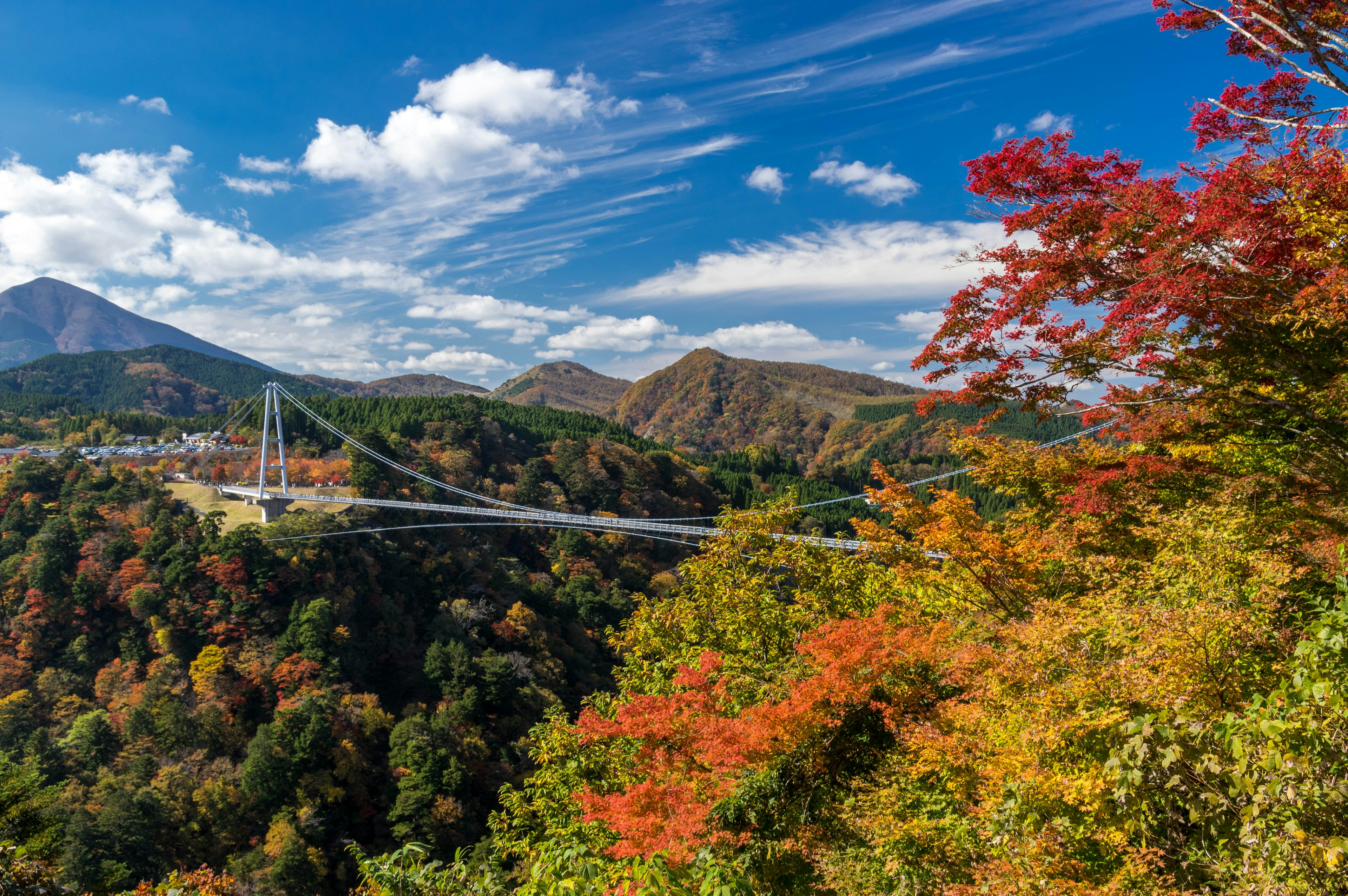 Malersches Herbstlandschaft mit einer Hängebrücke umgeben von buntem Laub