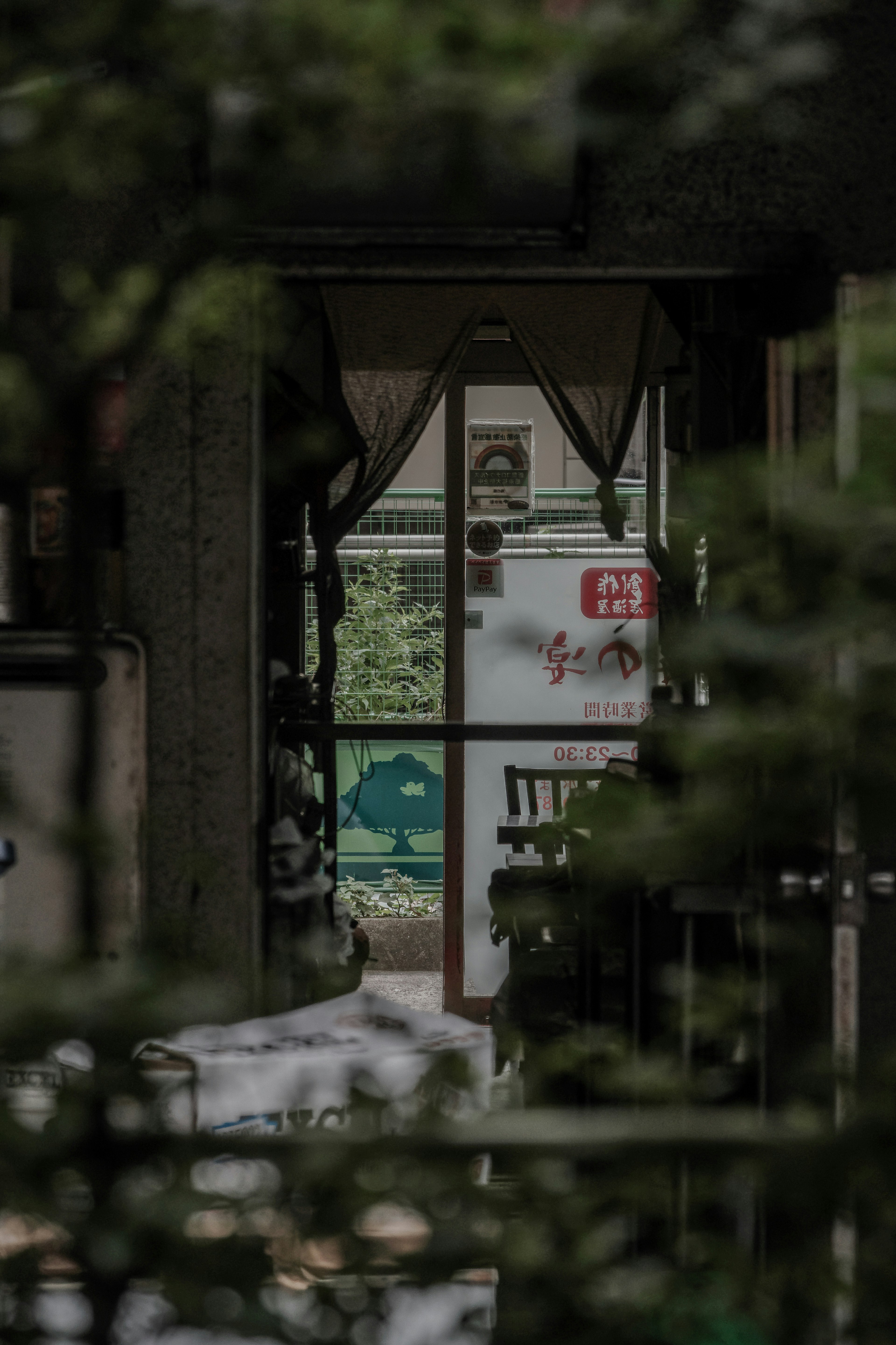 Vue à travers des arbres vers une porte ouverte révélant un espace intérieur