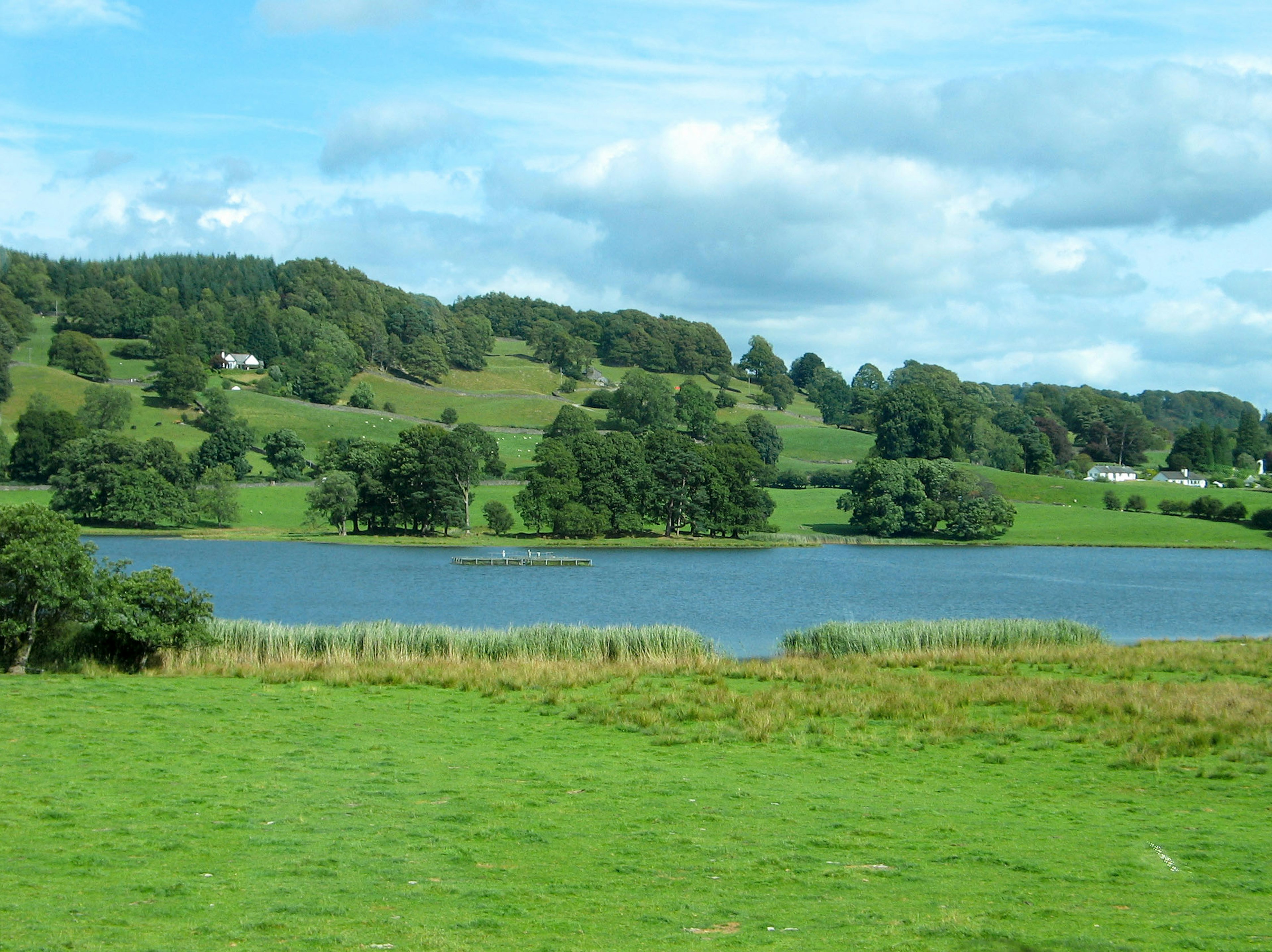 Lush landscape with a serene lake view