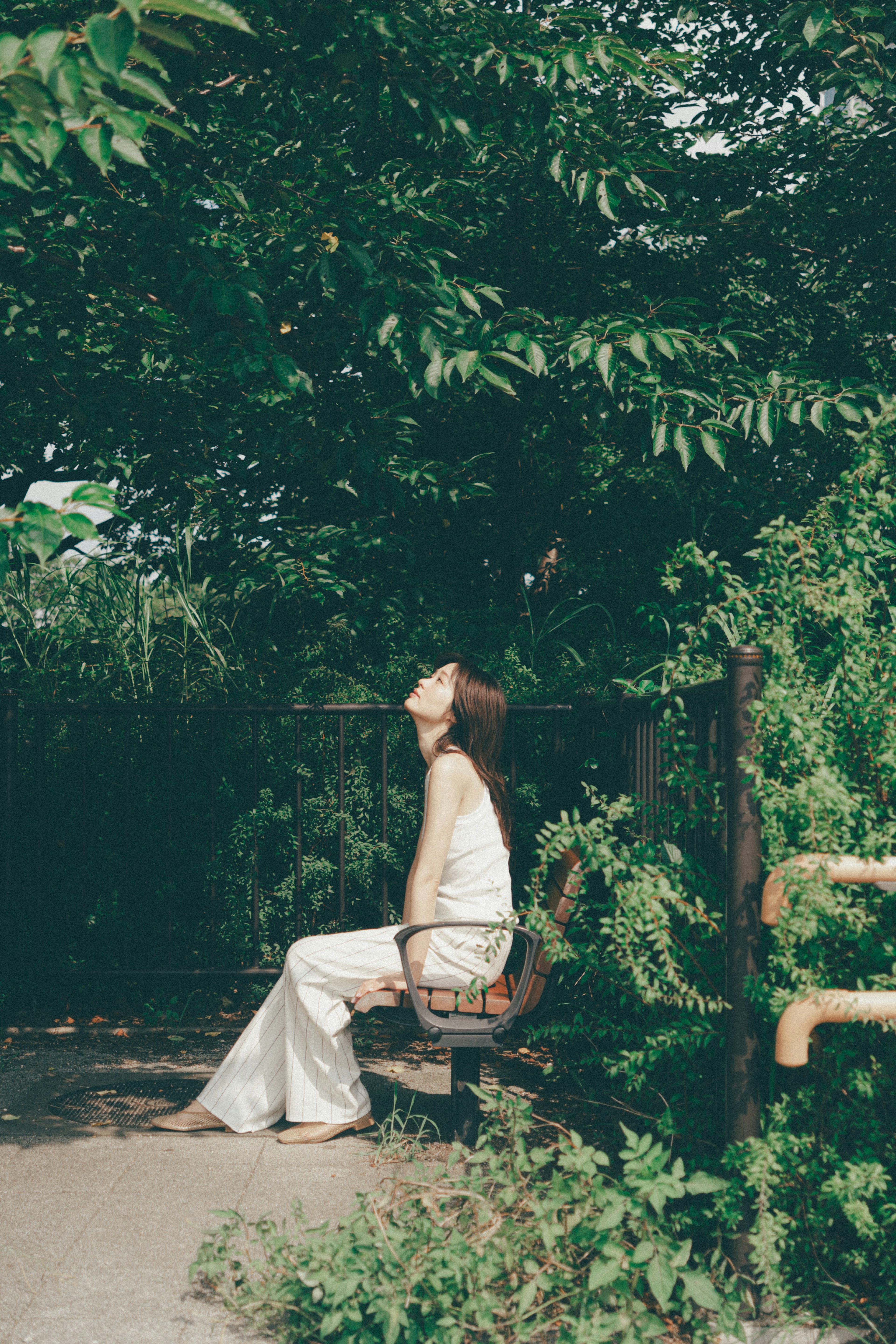 Woman sitting on a bench surrounded by greenery