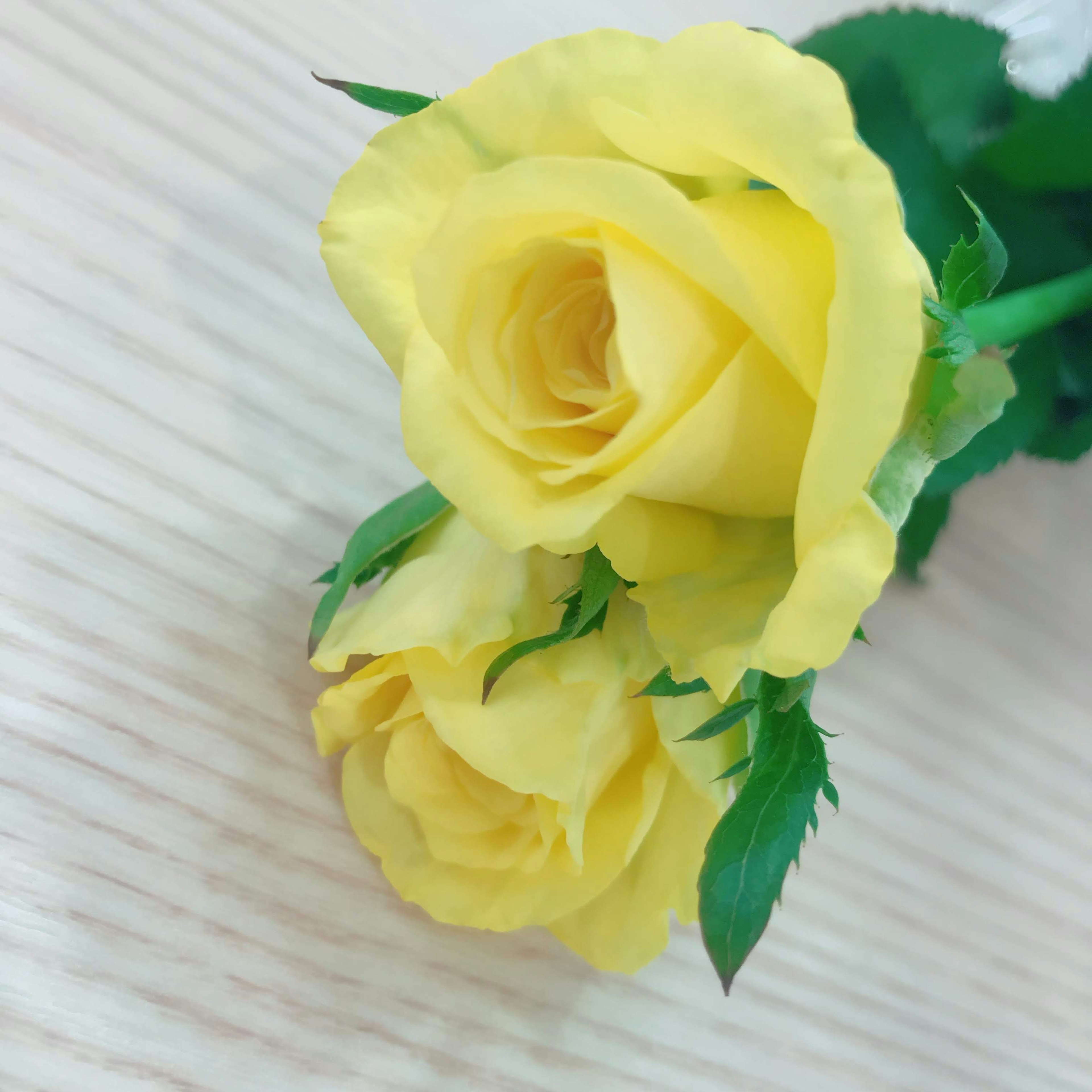 A bouquet of yellow roses resting on a wooden table