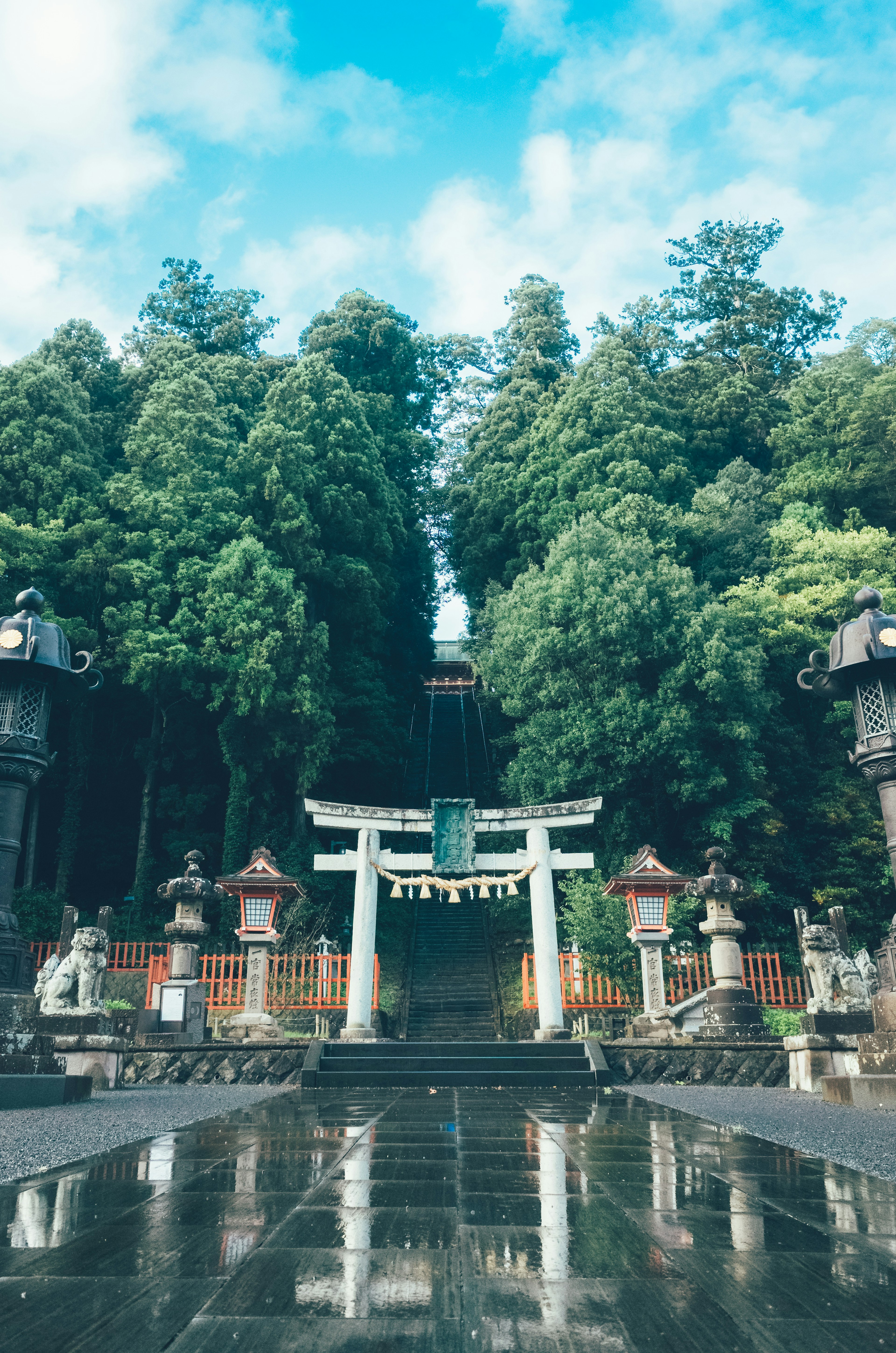 Pemandangan tenang dengan torii yang dikelilingi oleh pepohonan lebat