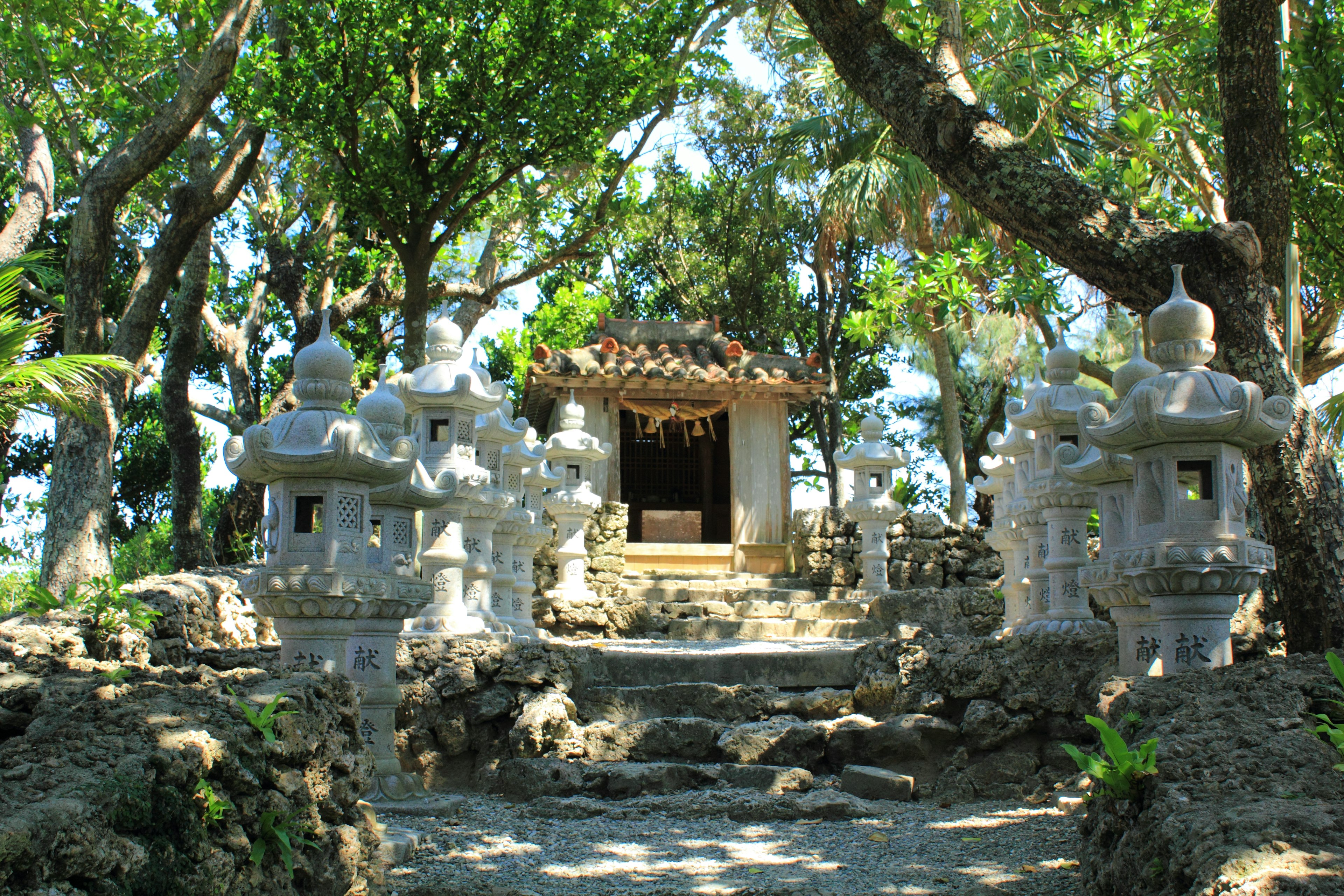 Entrée sereine d'un temple avec des marches en pierre et des lanternes blanches entourées de verdure