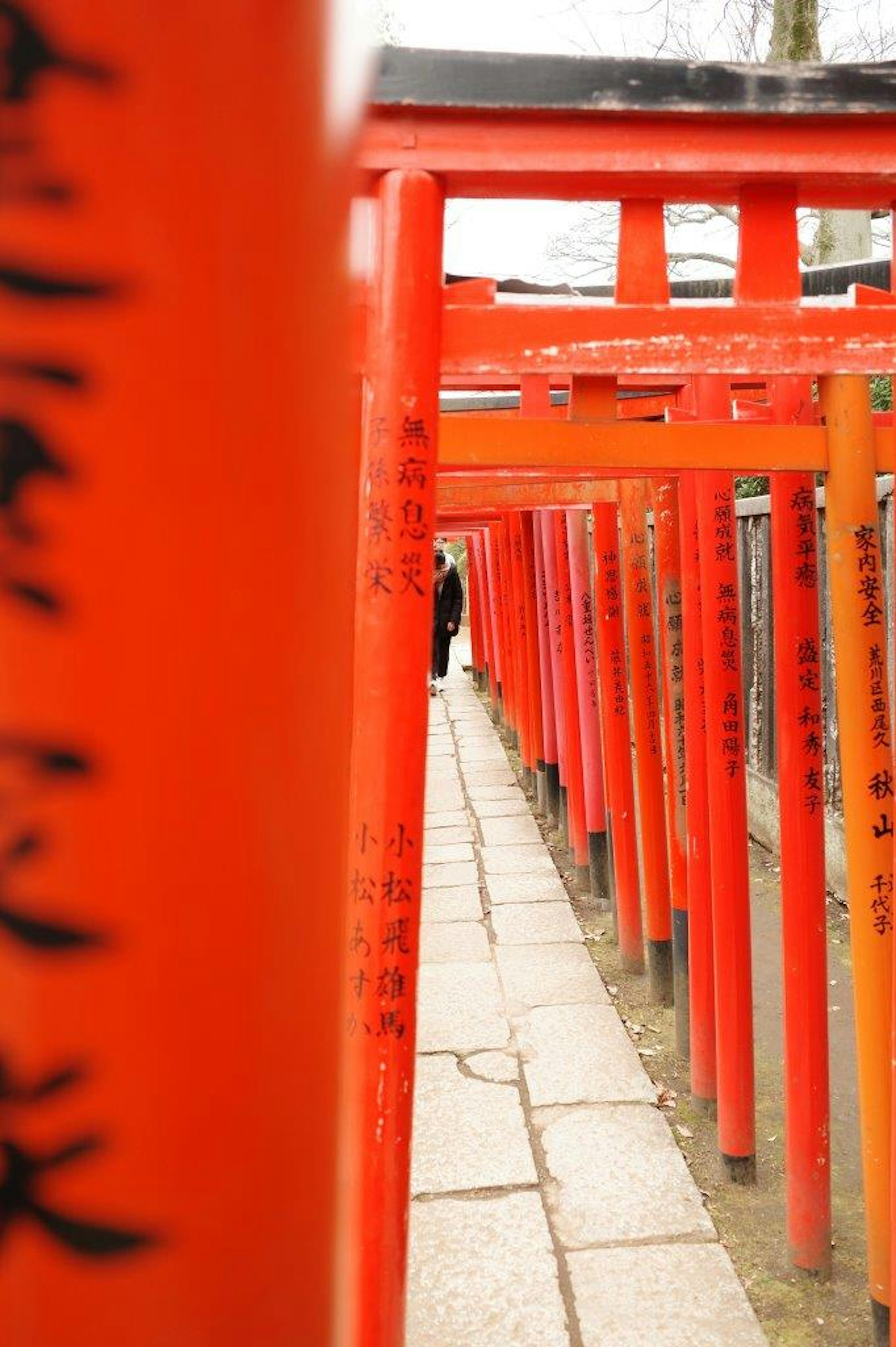 赤い鳥居が並ぶ道の風景