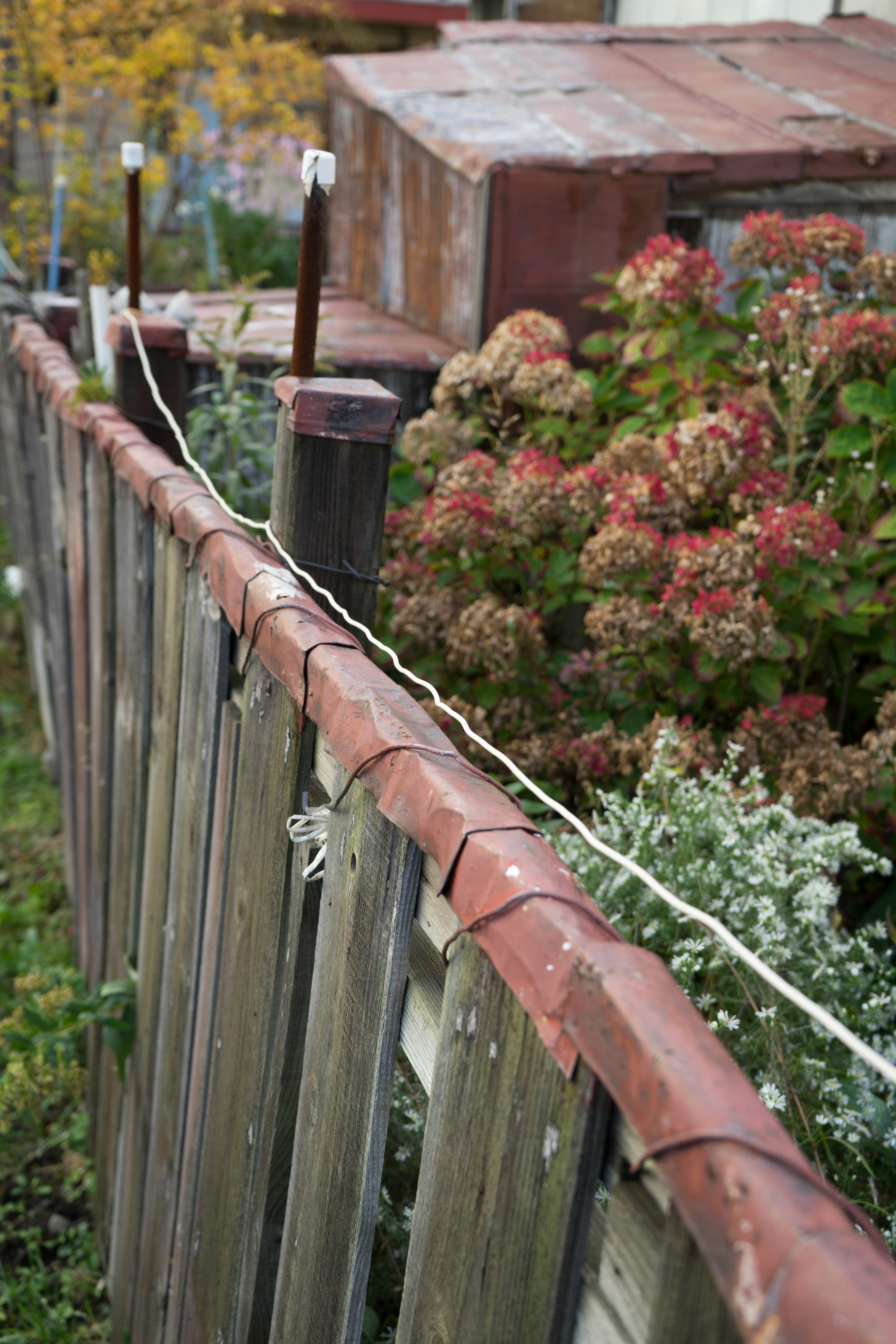 Recinzione in legno con piante colorate in un giardino