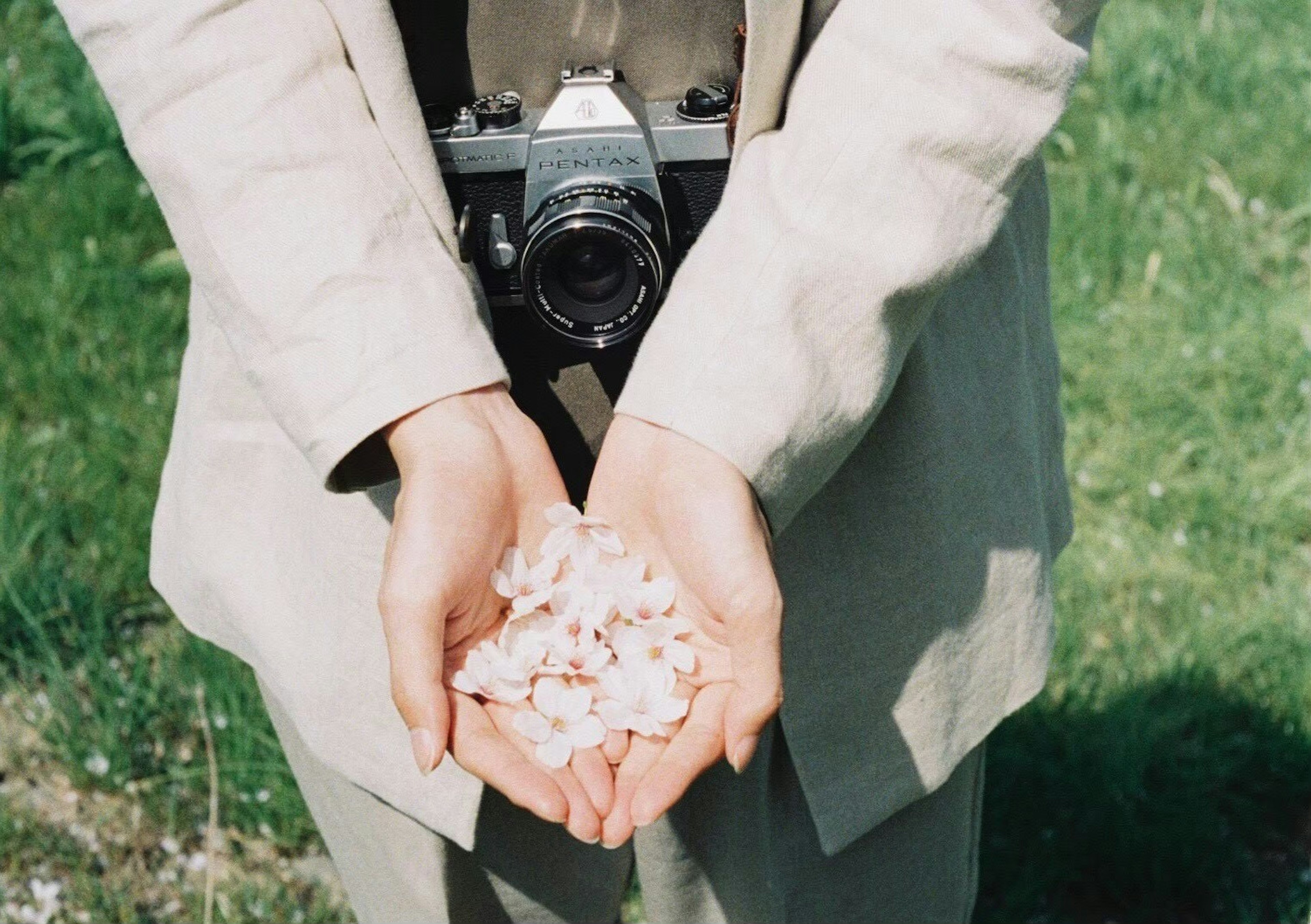 Personne tenant des pétales de cerisier dans ses mains avec un appareil photo autour du cou