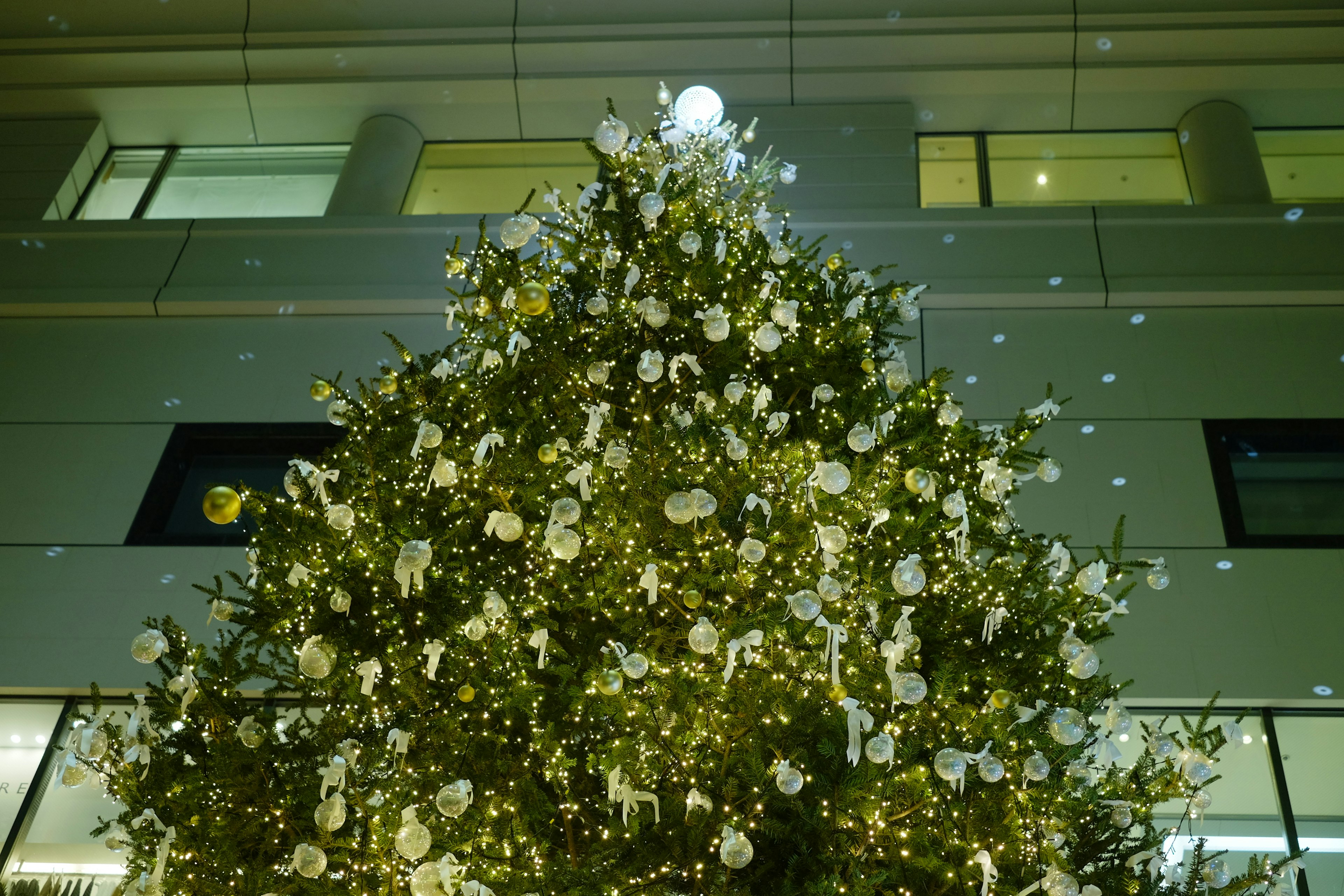 クリスマスツリーが装飾されている夜のビルの外観