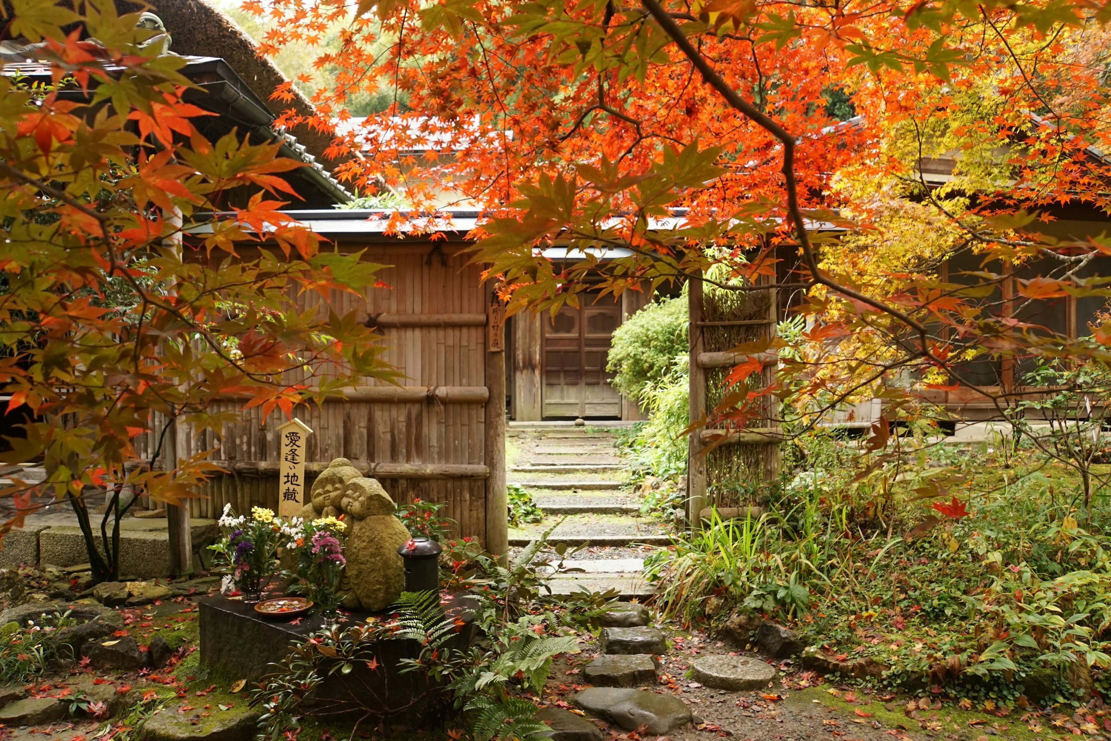 Traditional Japanese building surrounded by autumn foliage and stone path