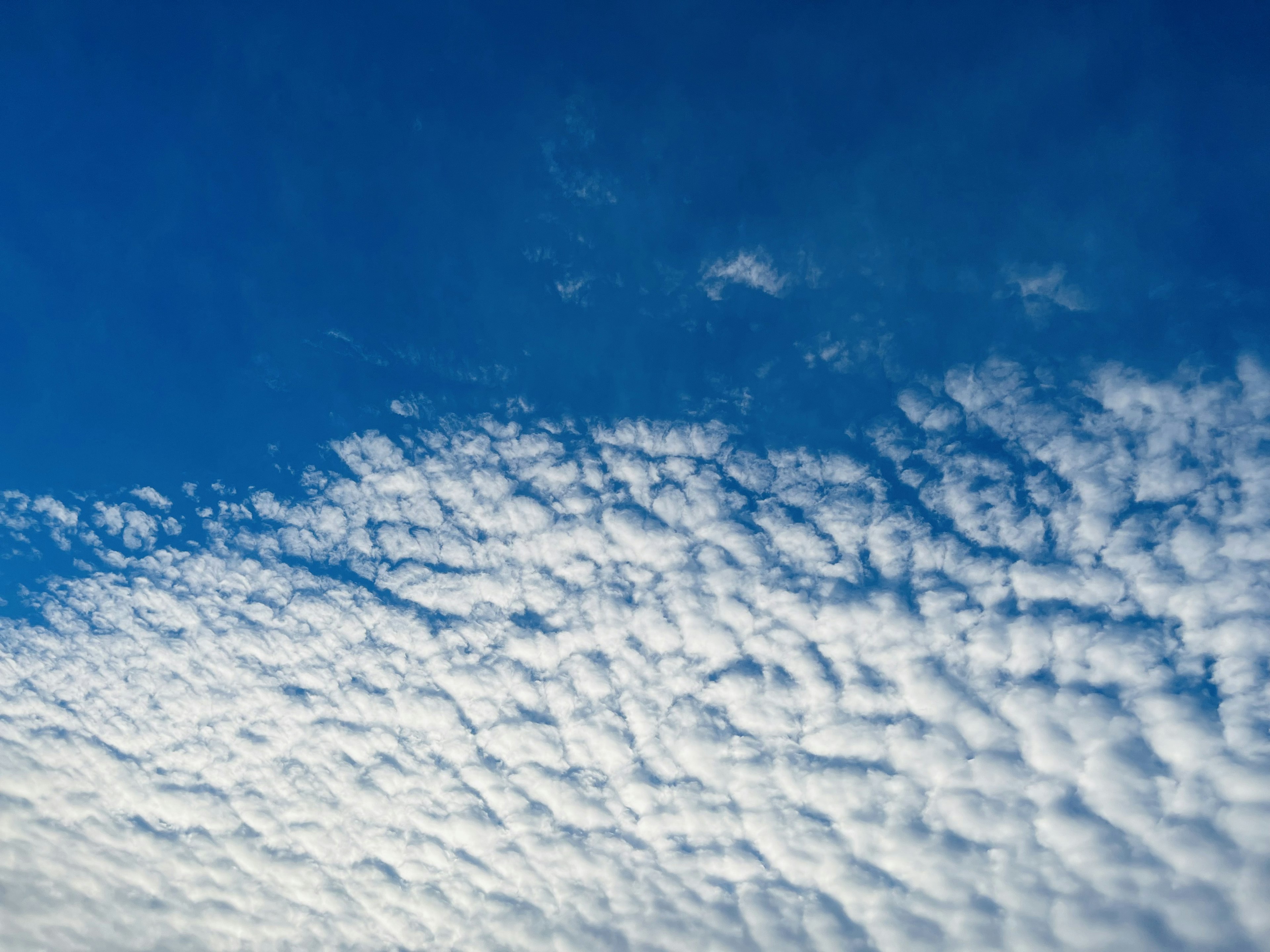 Motivo di nuvole bianche in un cielo blu