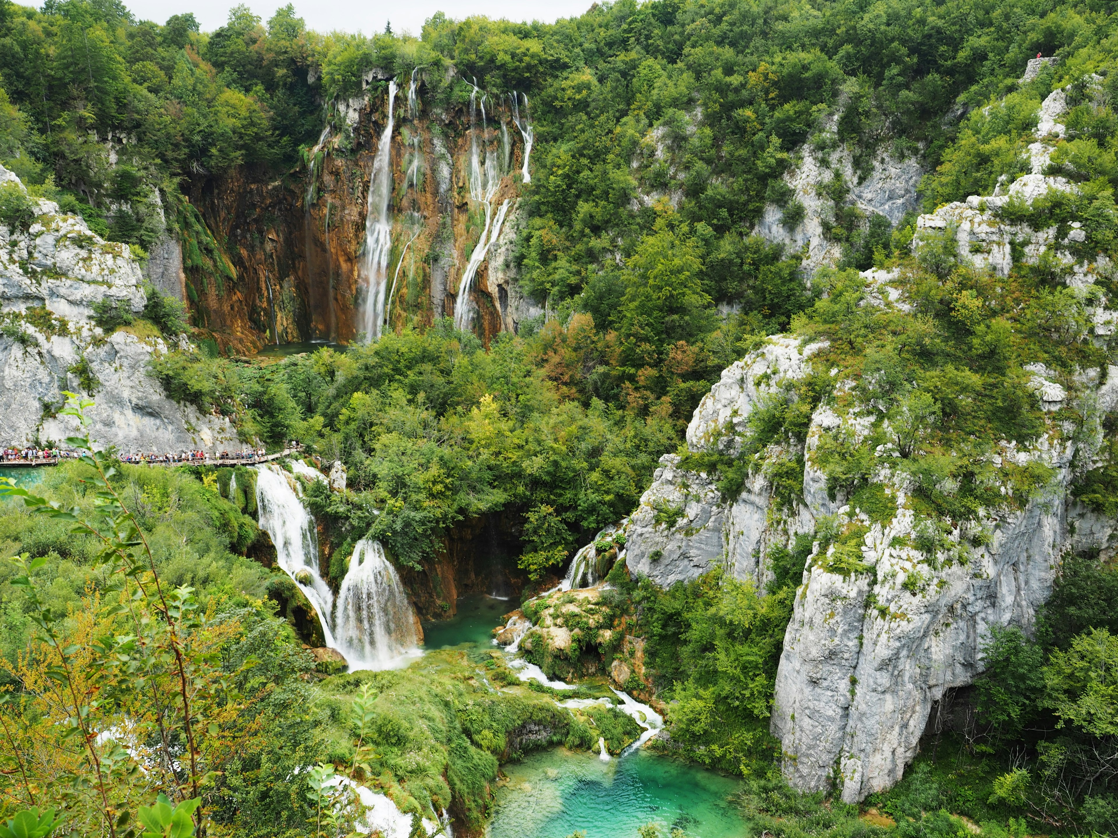 Vista escénica de cascadas rodeadas de un denso bosque verde