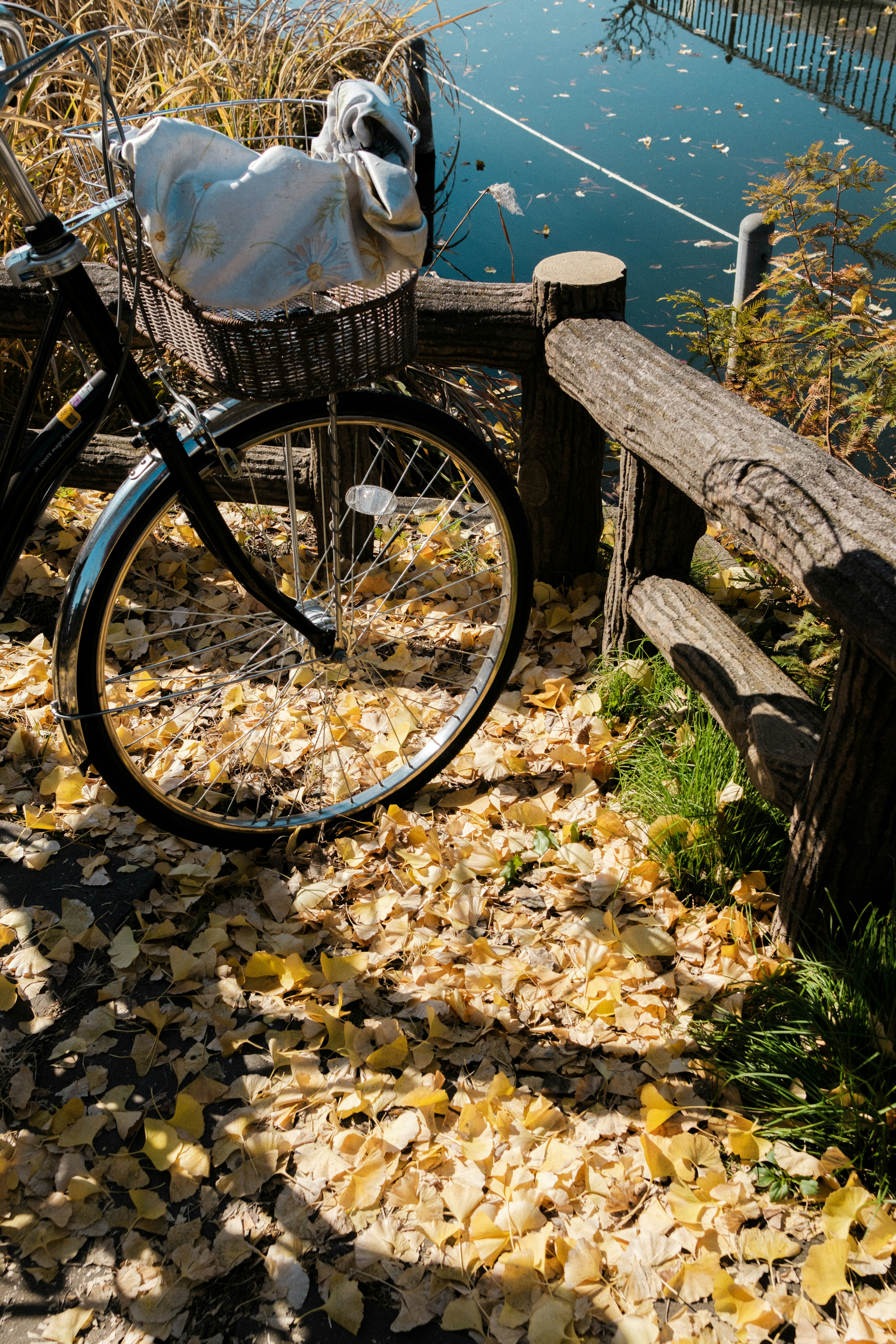 Bicycle resting against wooden fence surrounded by autumn leaves near water