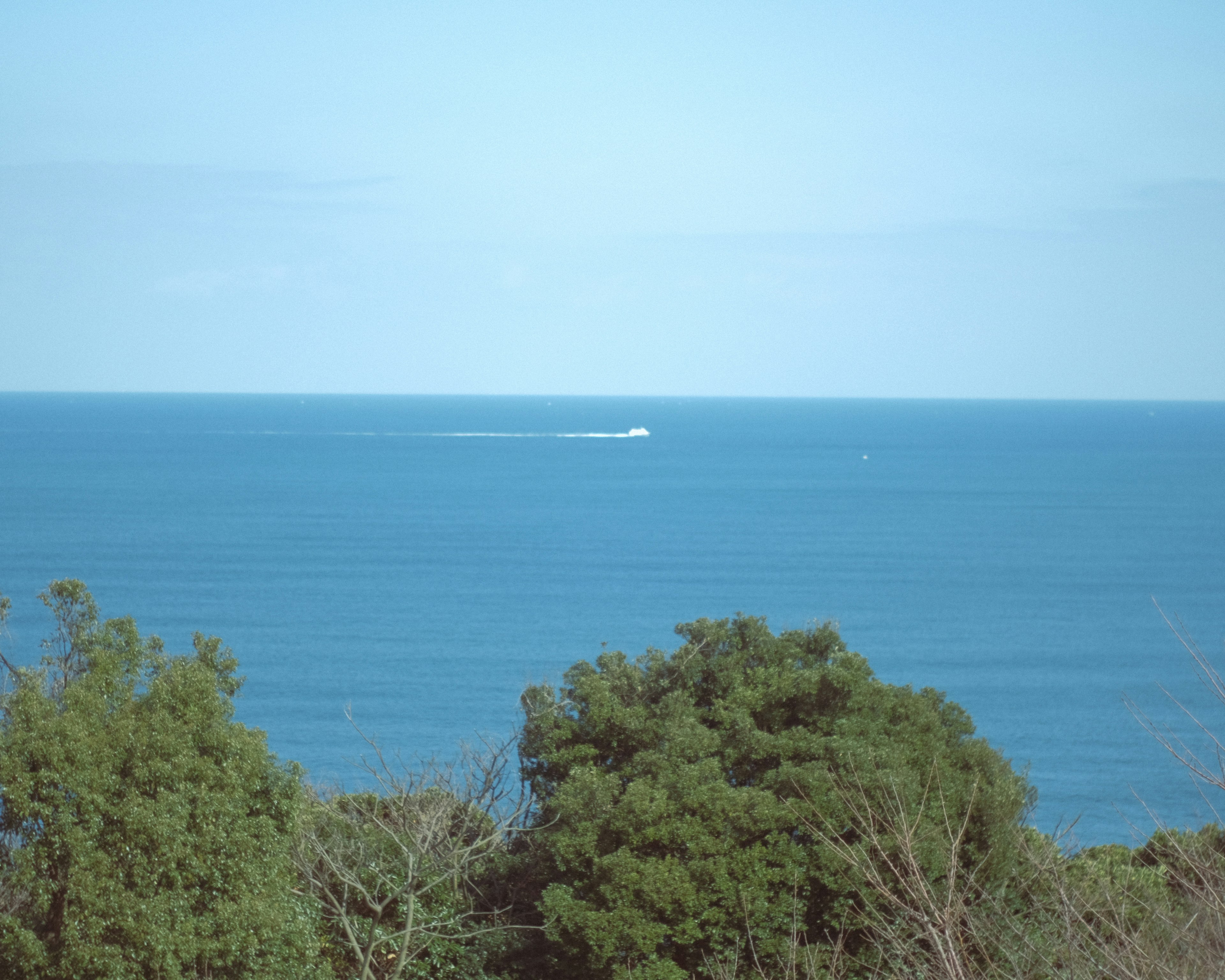 青い海を背景にした緑の木々と遠くを走るボート