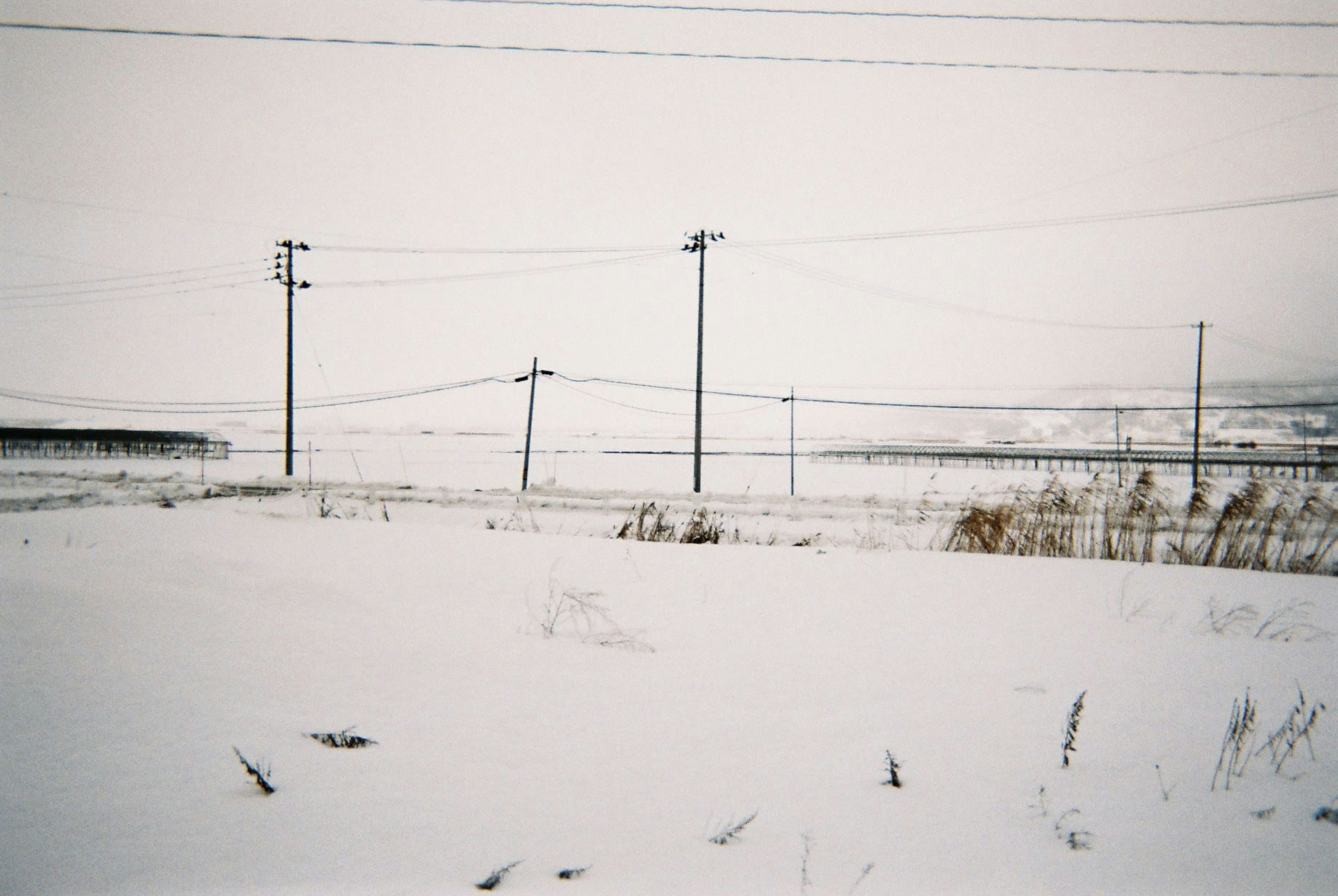 Snow-covered landscape with utility poles and wires