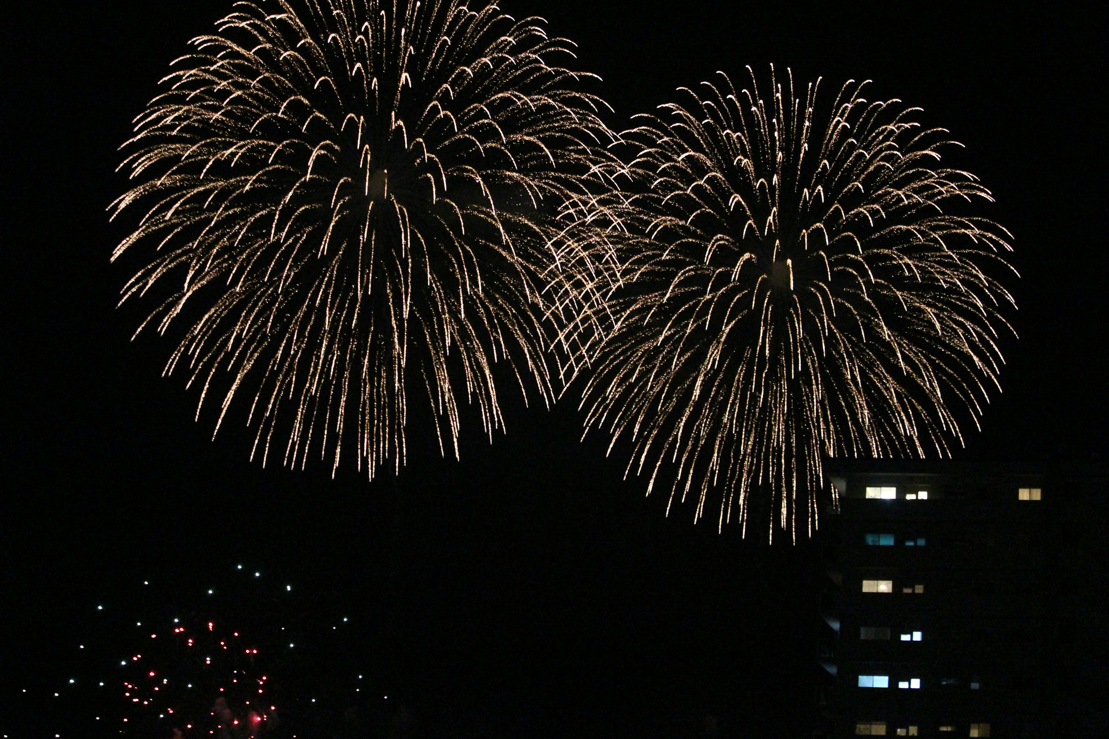 Grandi fuochi d'artificio che esplodono nel cielo notturno con fuochi d'artificio più piccoli sullo sfondo