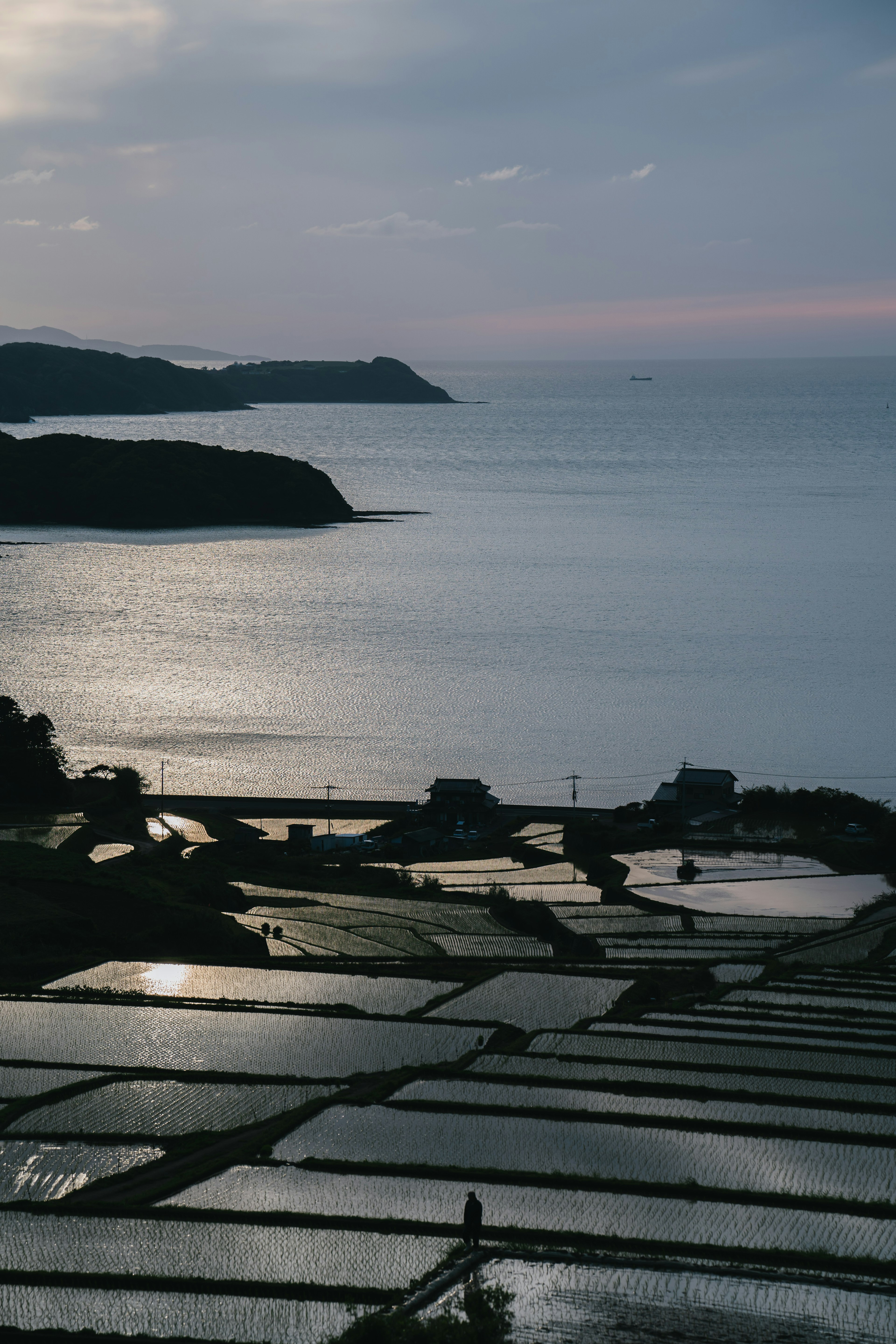 Reisfelder in Terrassen, die das Meer und den Dämmerungshimmel reflektieren