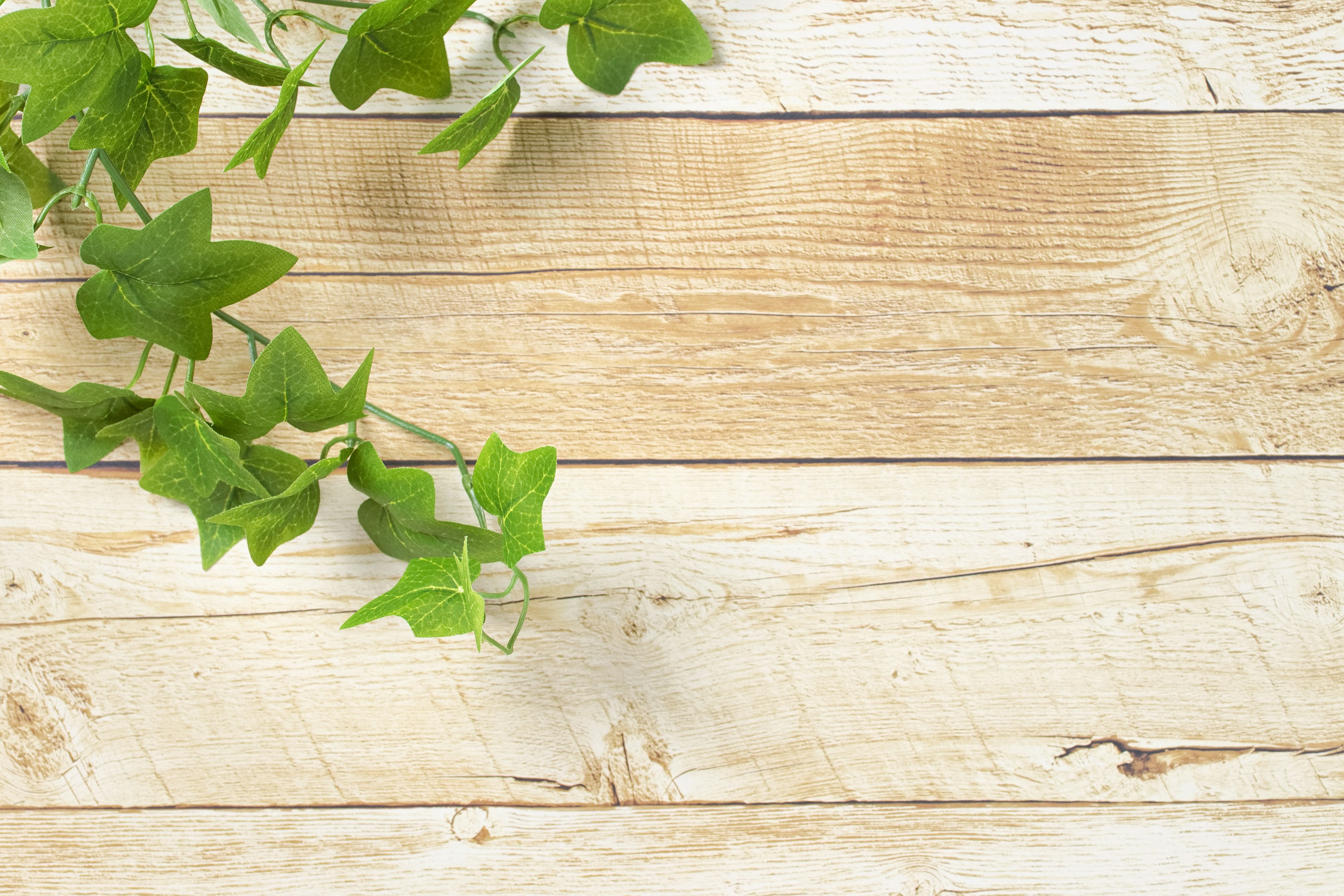 Green leaves on a wooden table