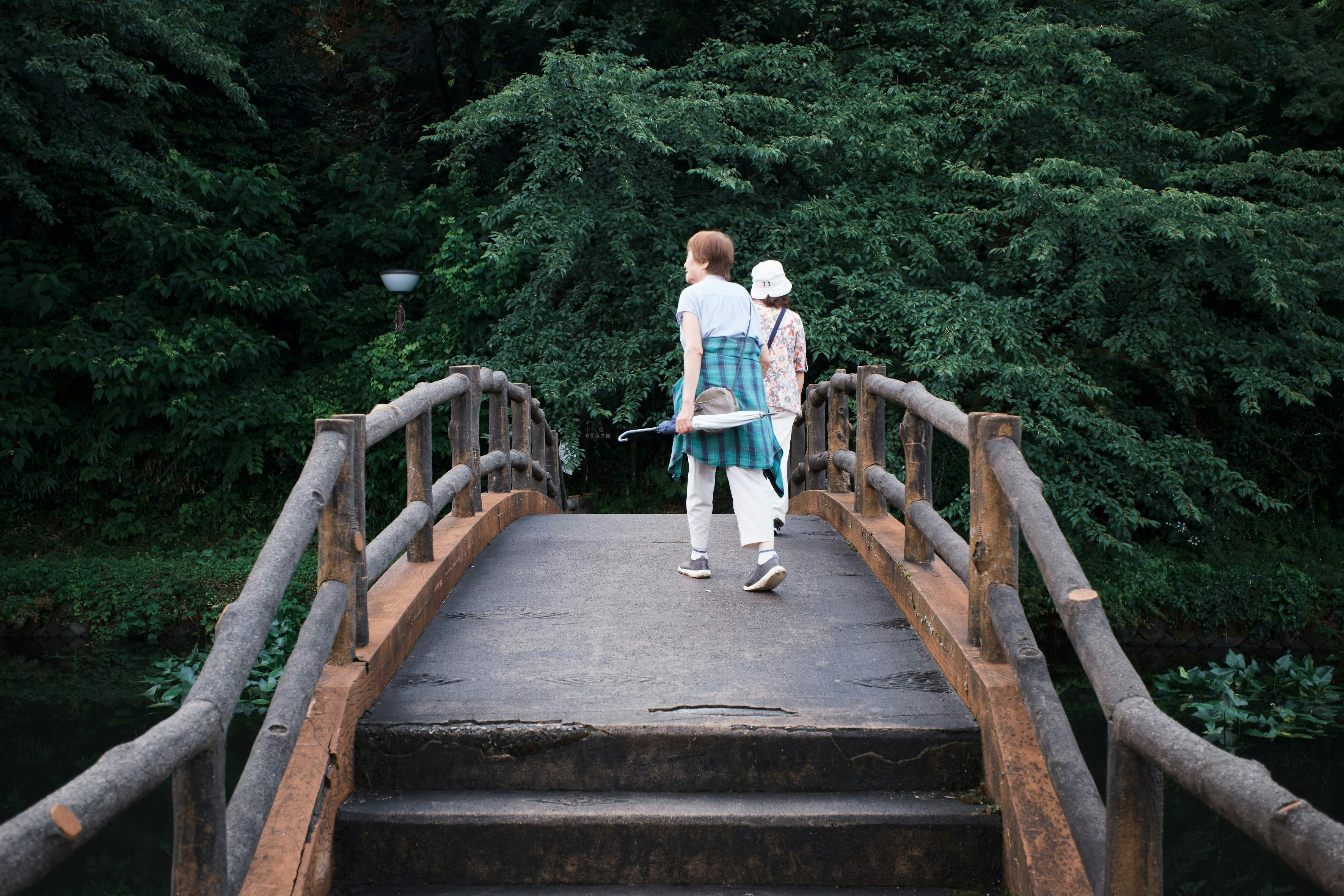 Two people walking on a wooden bridge surrounded by lush greenery