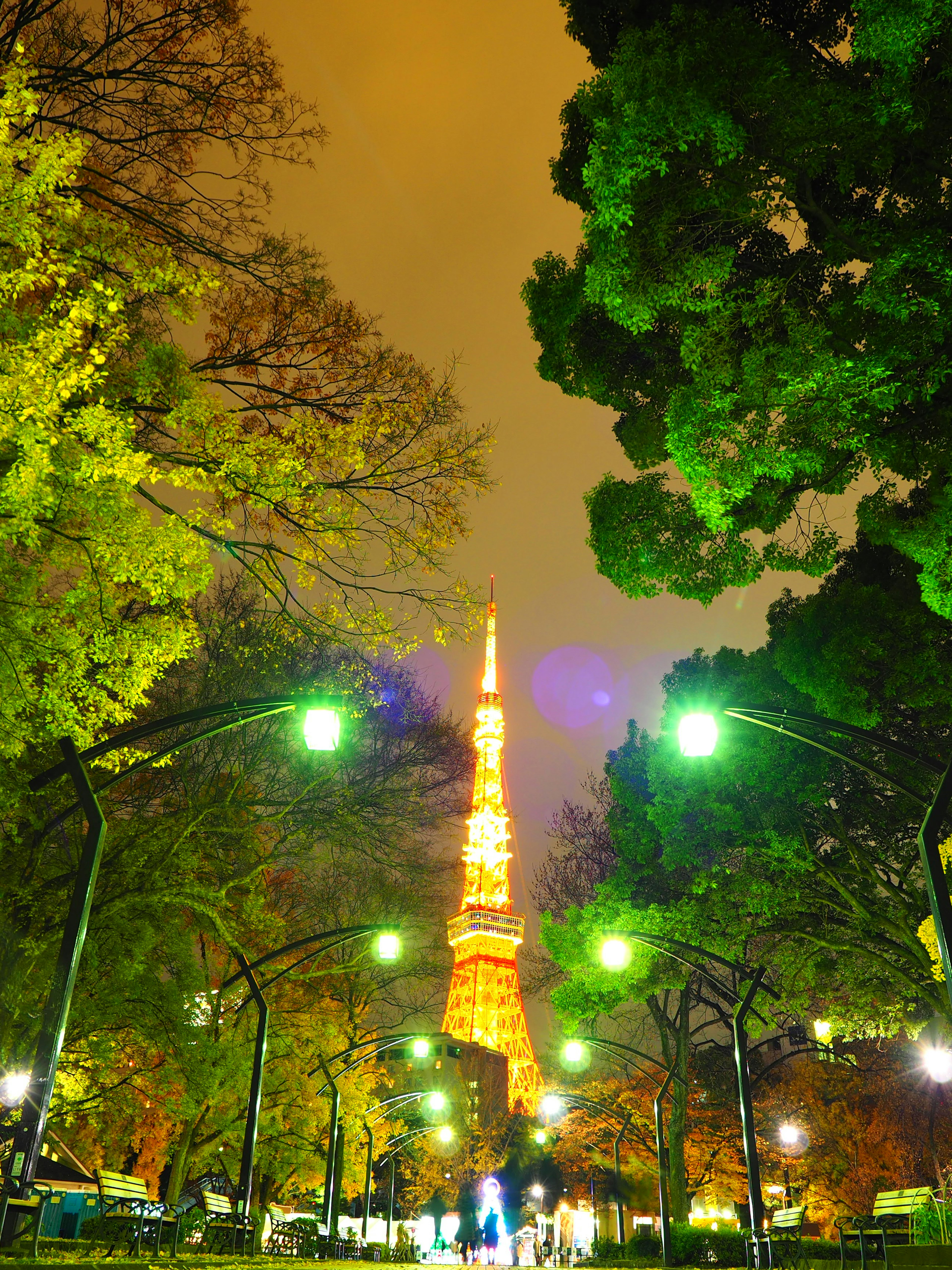 Vue nocturne de la tour de Tokyo magnifiquement illuminée parmi les arbres verts