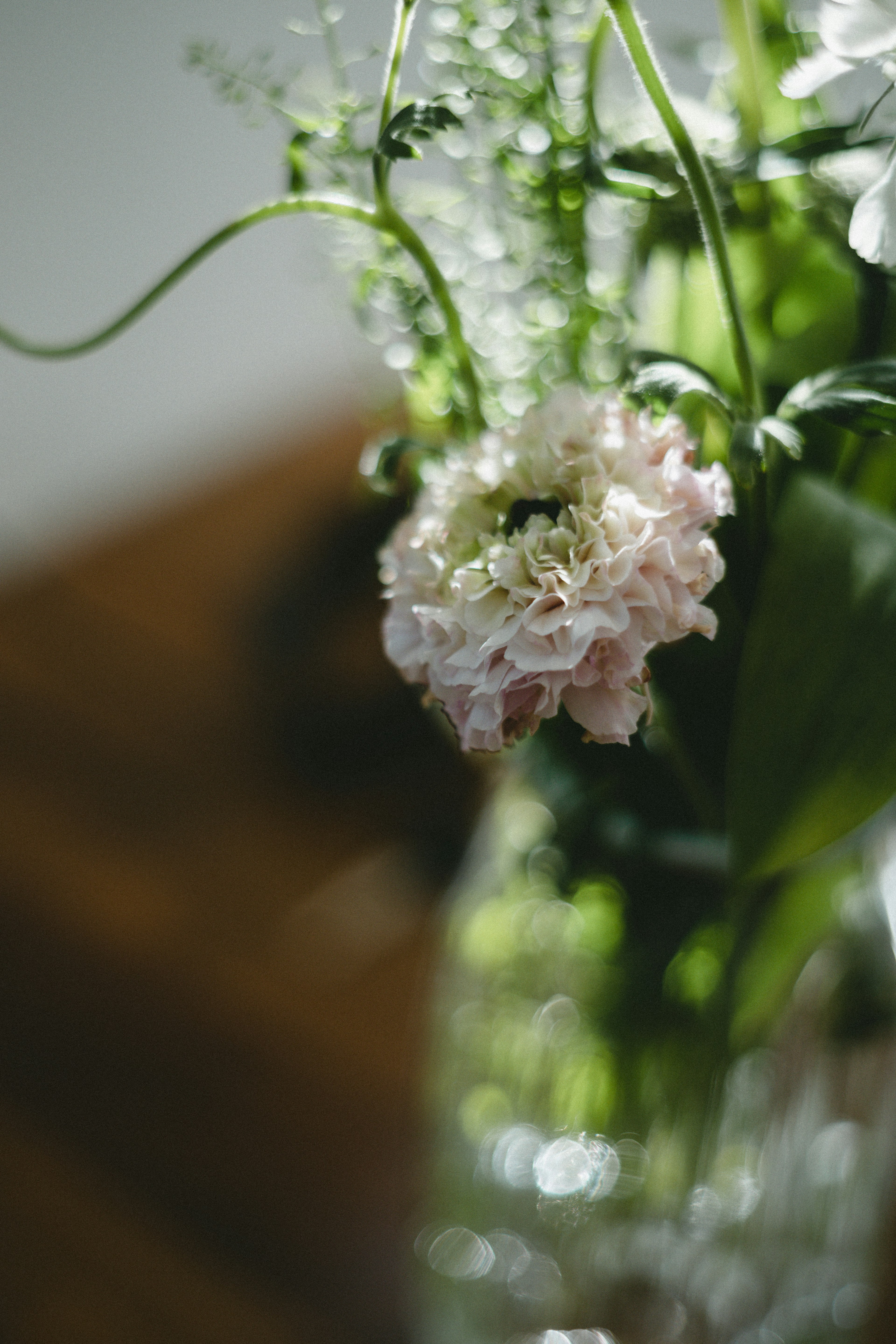 Nahaufnahme von sanft gefärbten Blumen und grünen Blättern in einer Vase