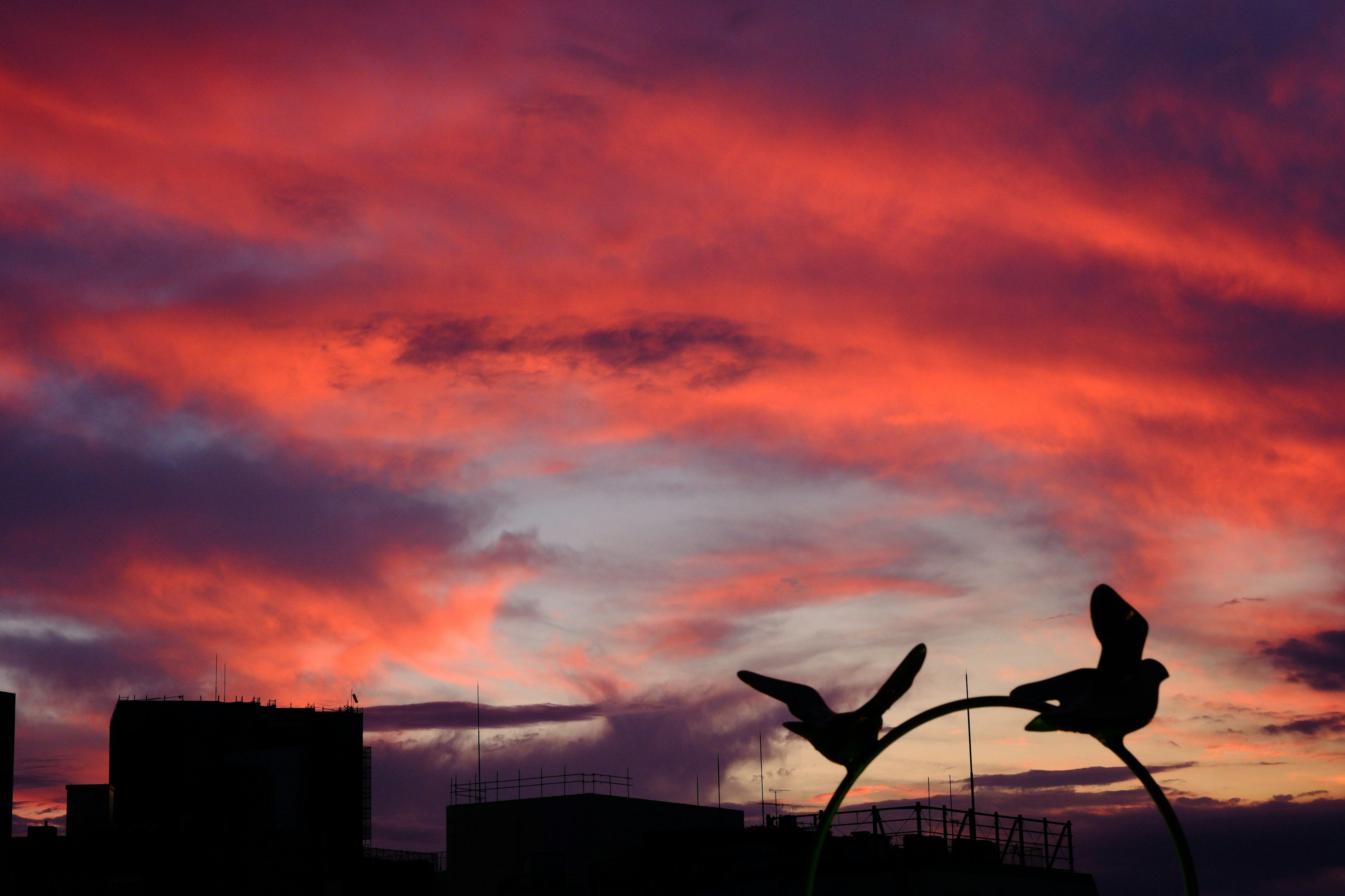 Pemandangan indah langit senja dengan burung silhouettes di patung melingkar