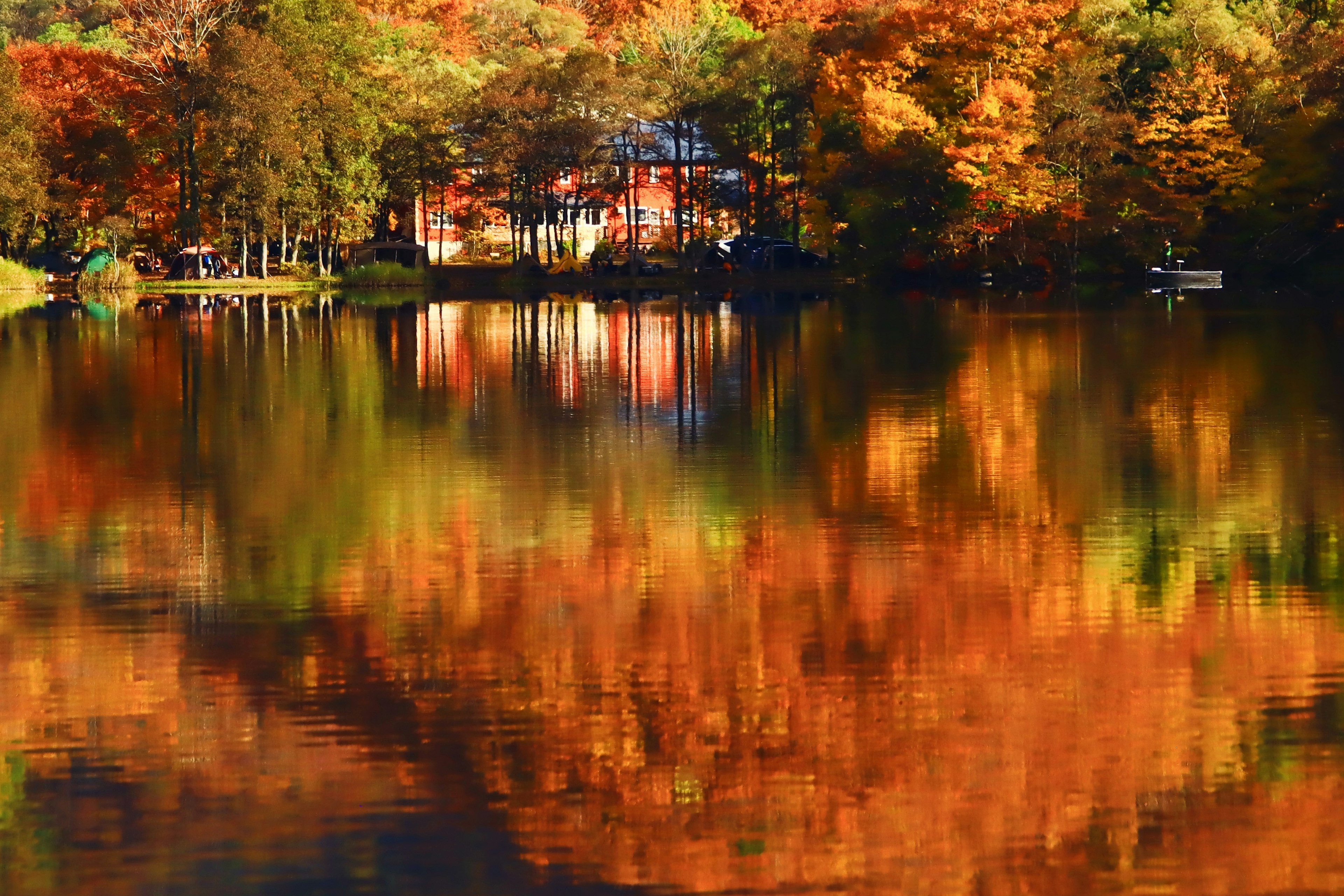 Paesaggio autunnale con foglie colorate che si riflettono su un lago