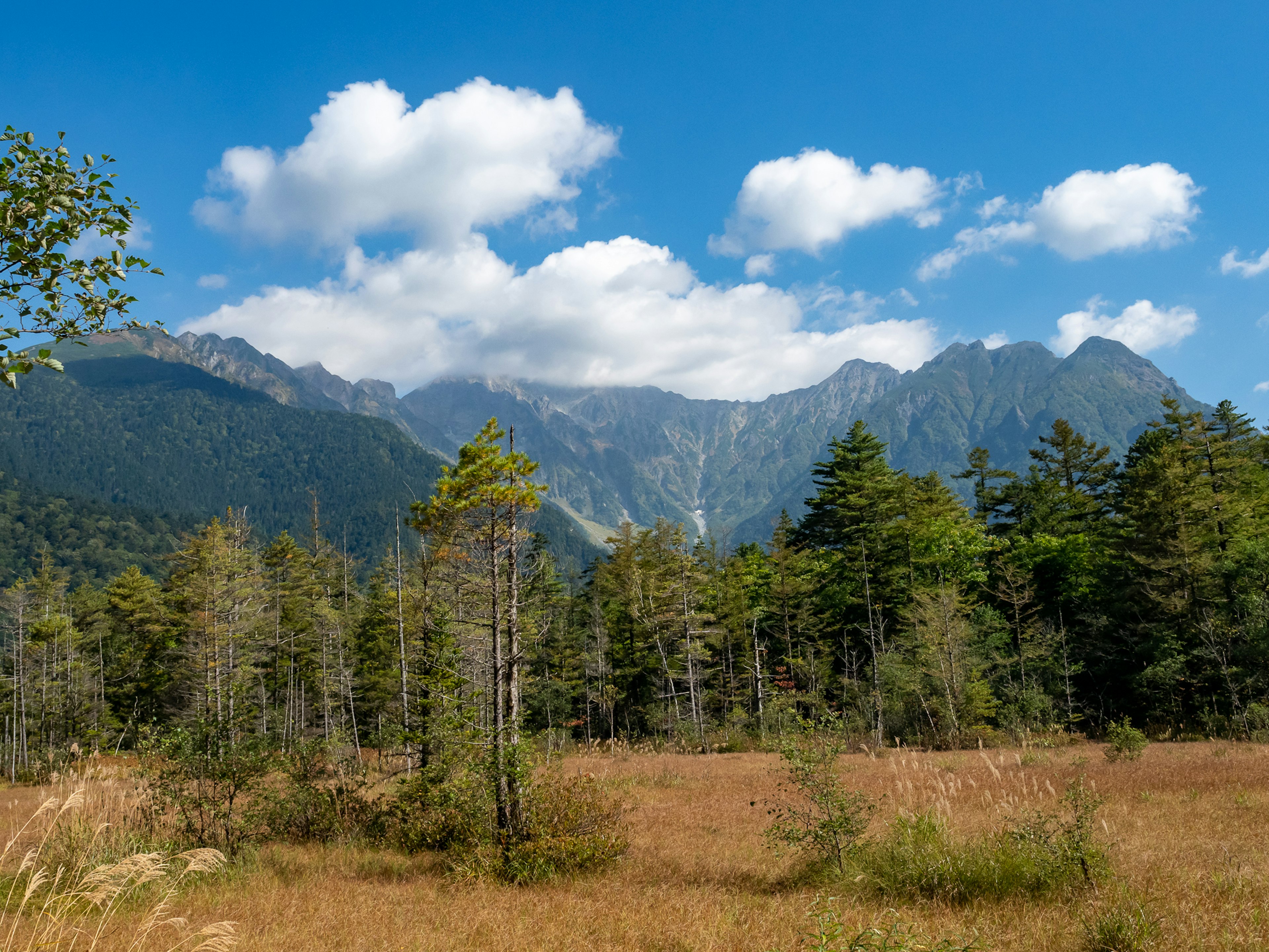 Paisaje montañoso bajo un cielo azul con árboles dispersos y un campo de hierba