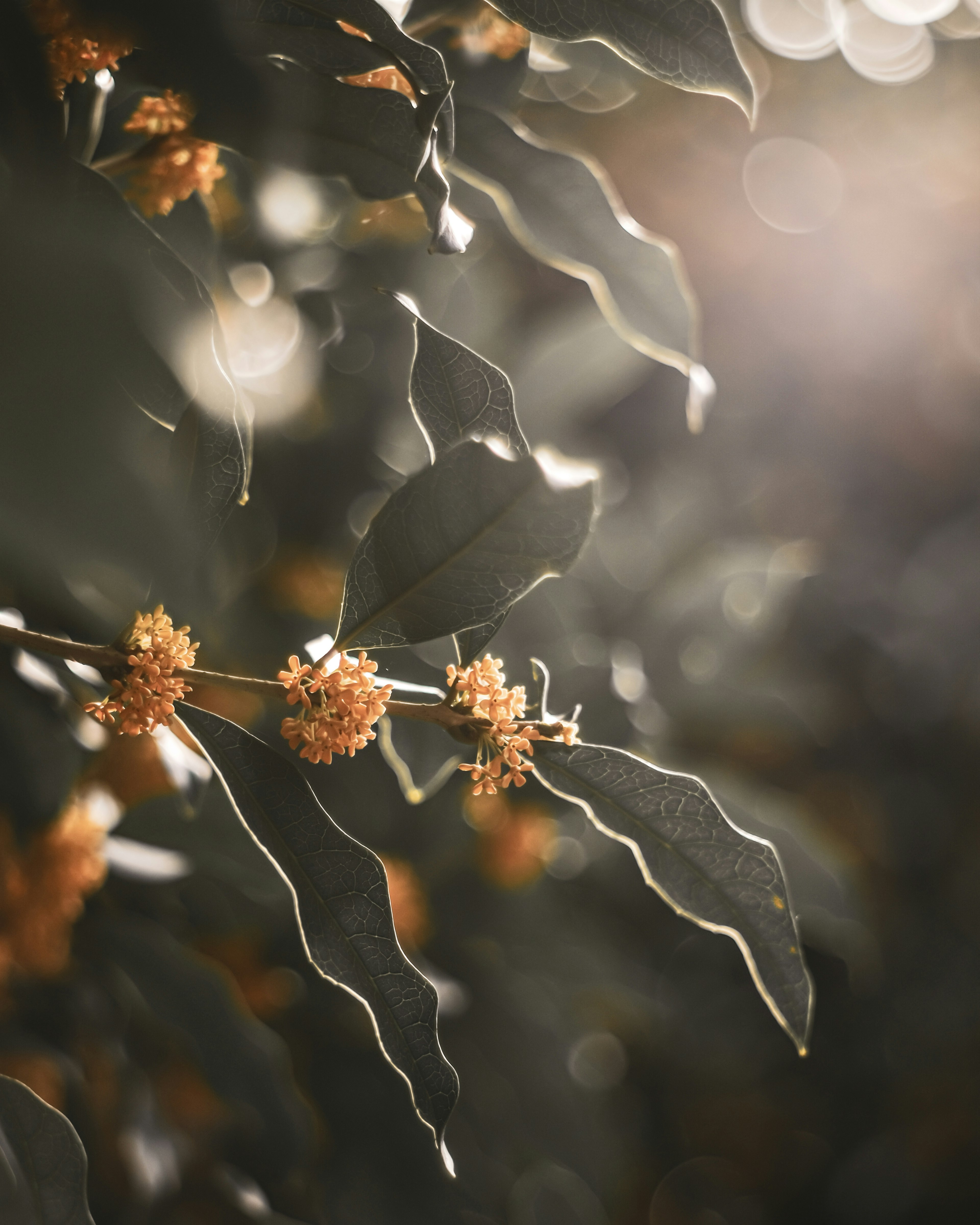 Gros plan sur des feuilles et des fleurs jaunes avec un fond lumineux