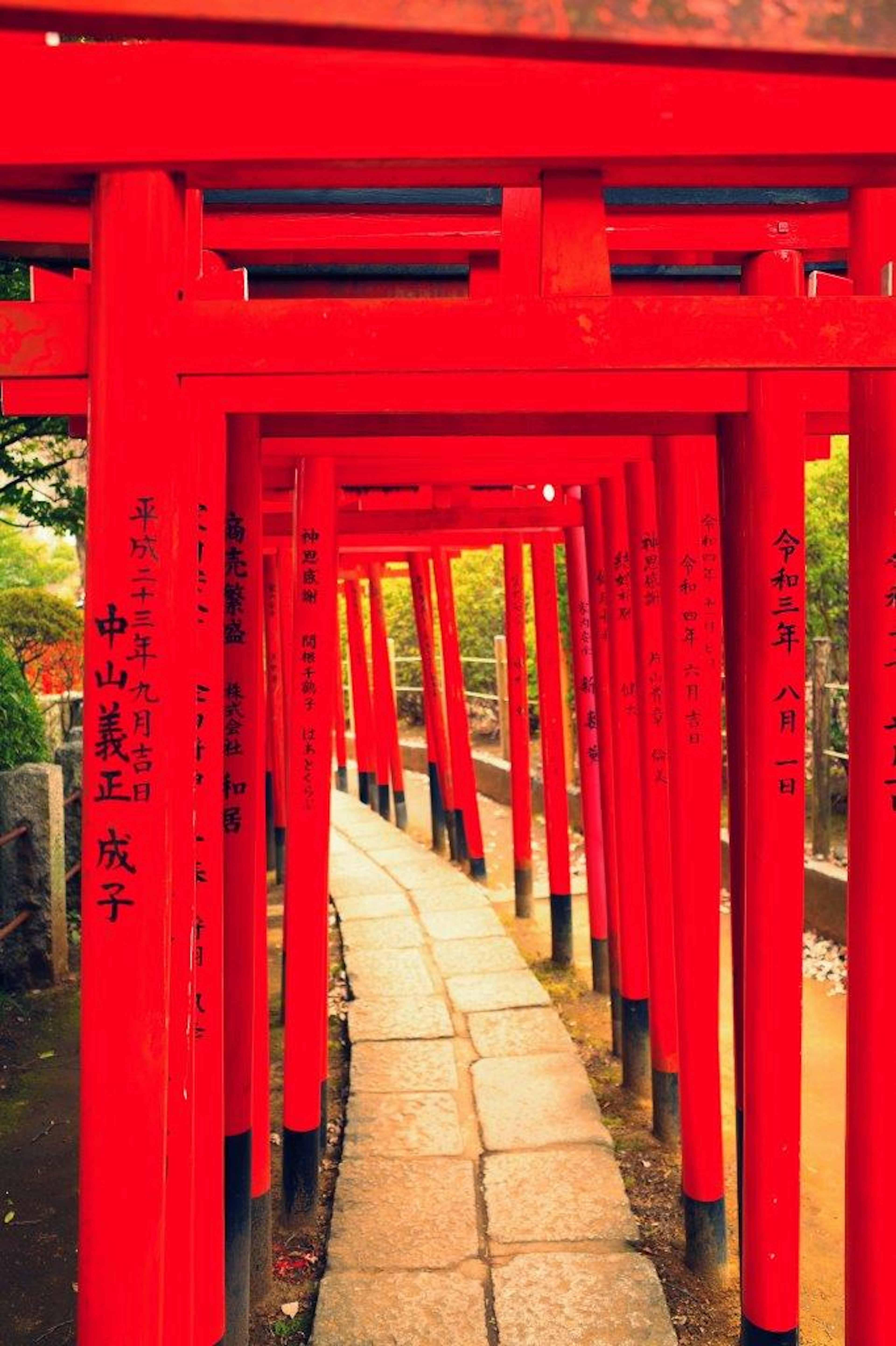 赤い鳥居が並ぶ小道の風景