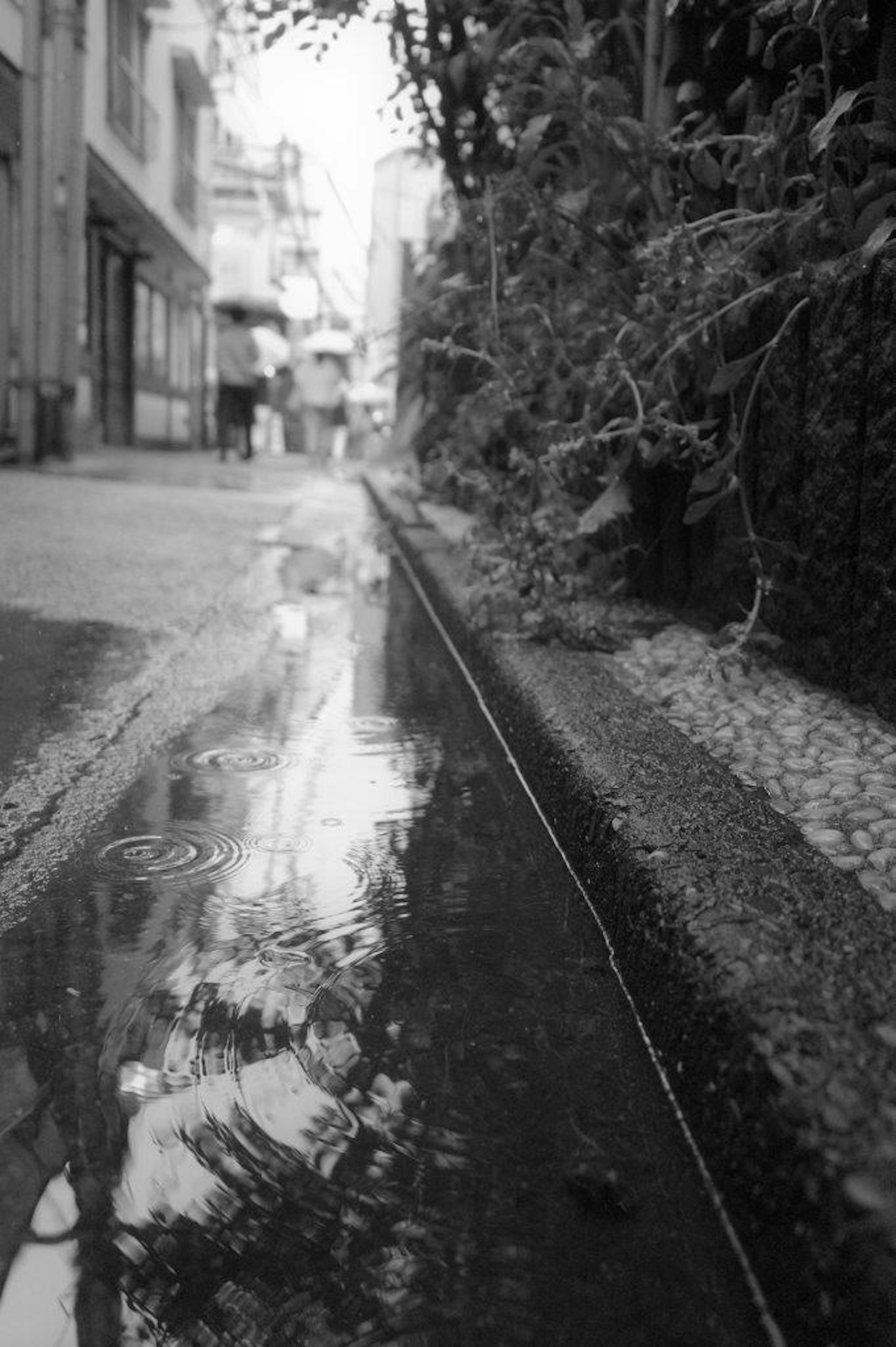 Eine schwarz-weiße Szene einer schmalen Gasse mit einer Pfütze, die die Umgebung spiegelt