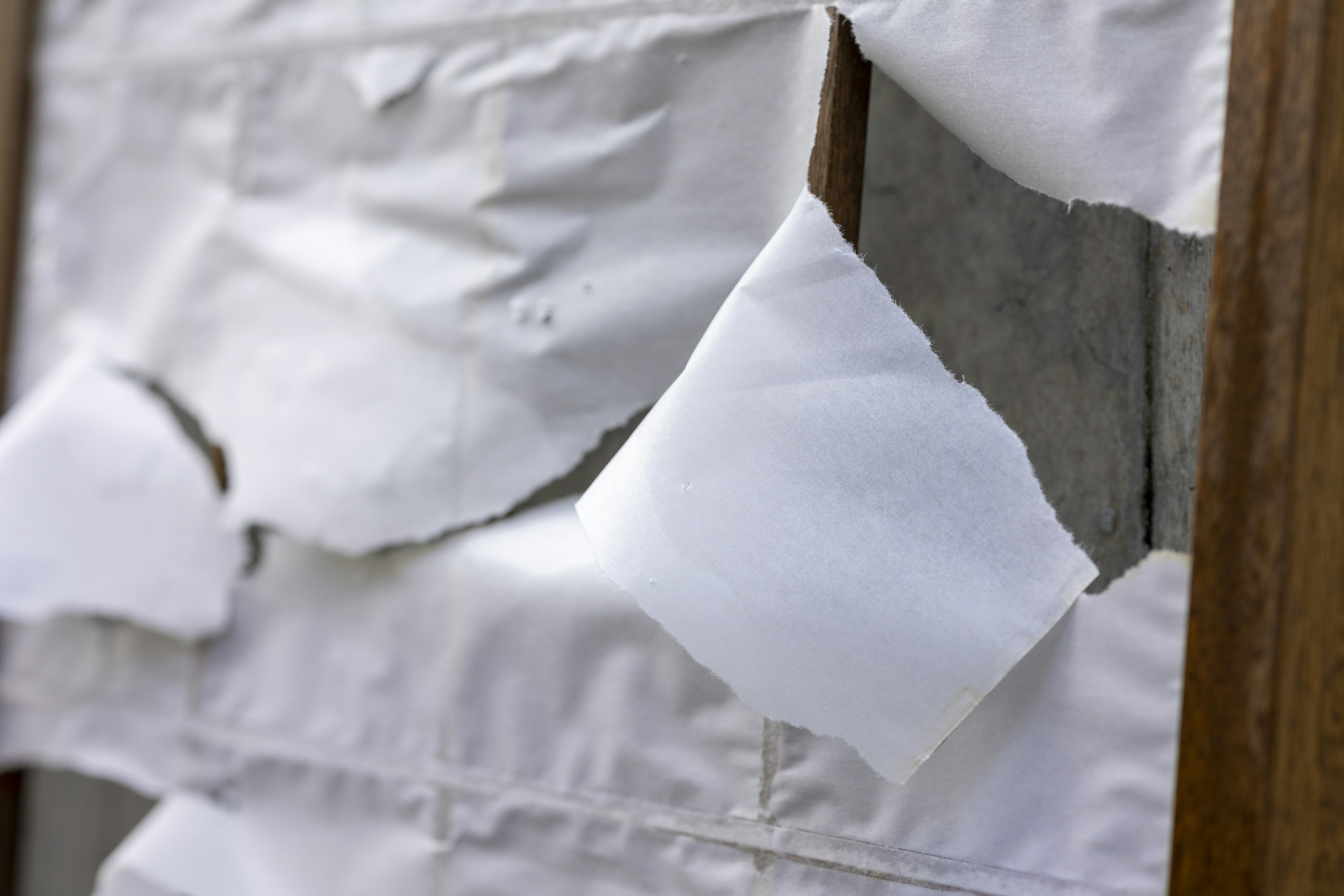 Close-up of peeling white paper on a wooden surface