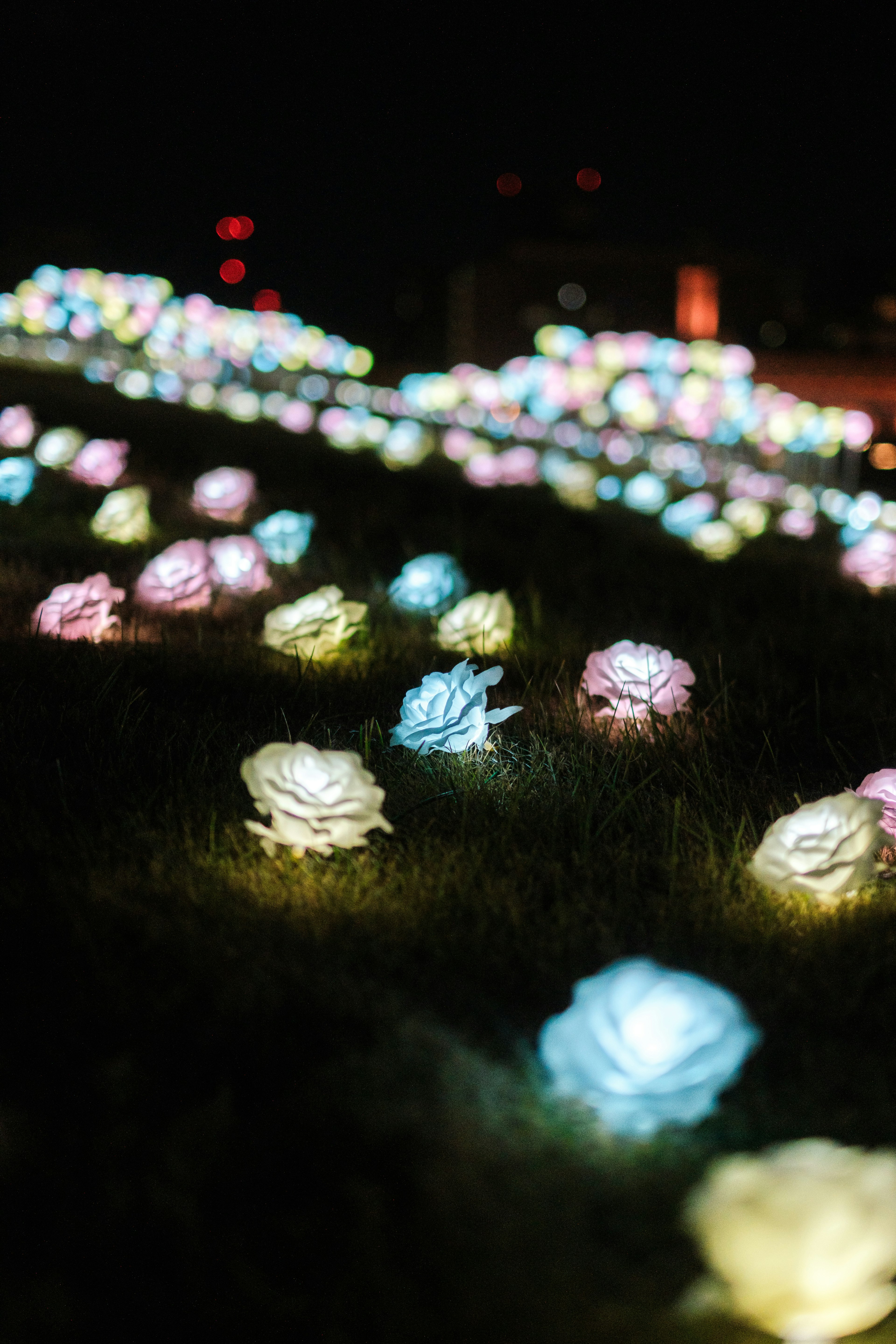 夜の草原に咲く色とりどりの光るバラ