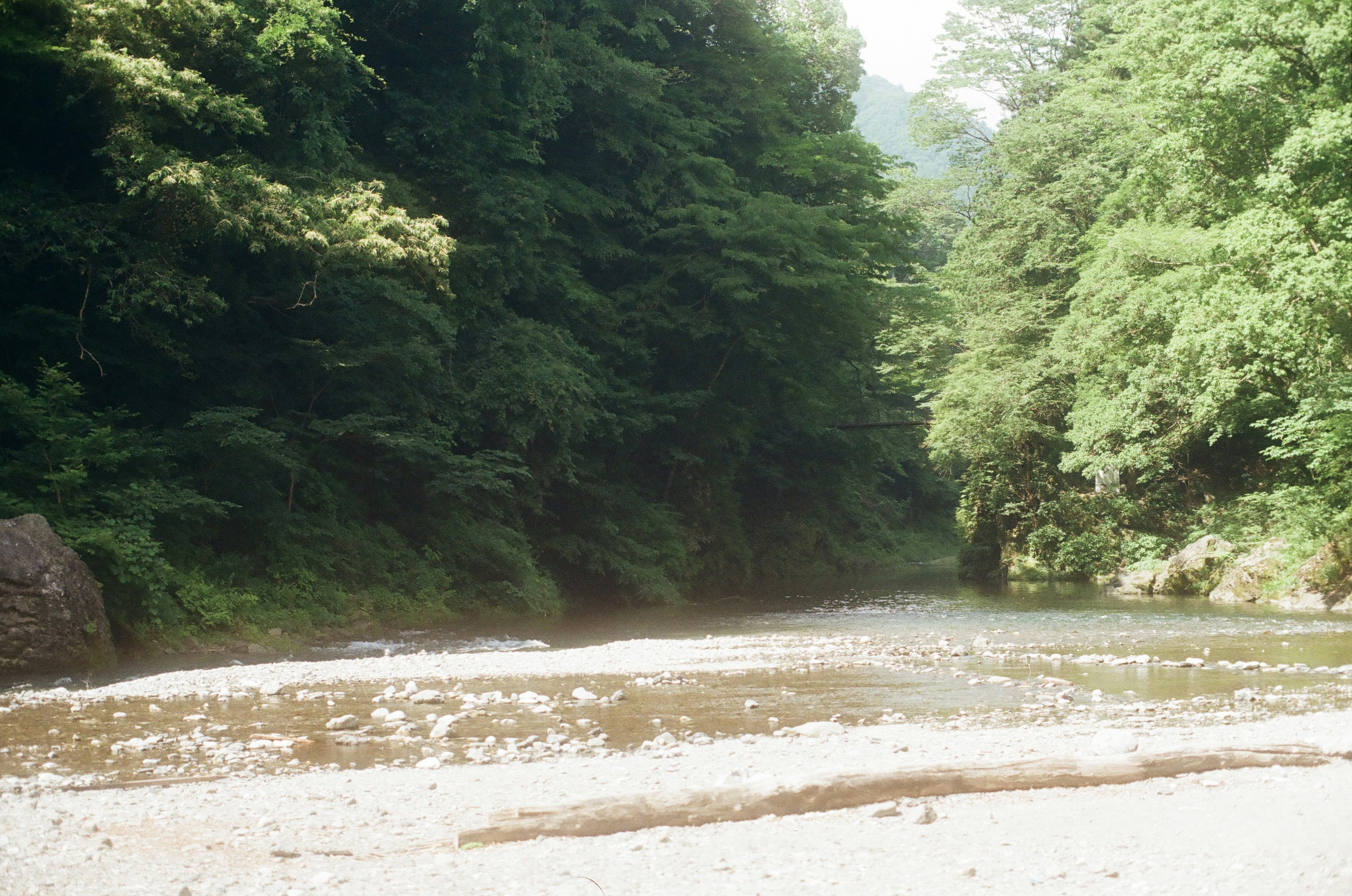 Eine ruhige Flusslandschaft umgeben von üppigem grünem Wald