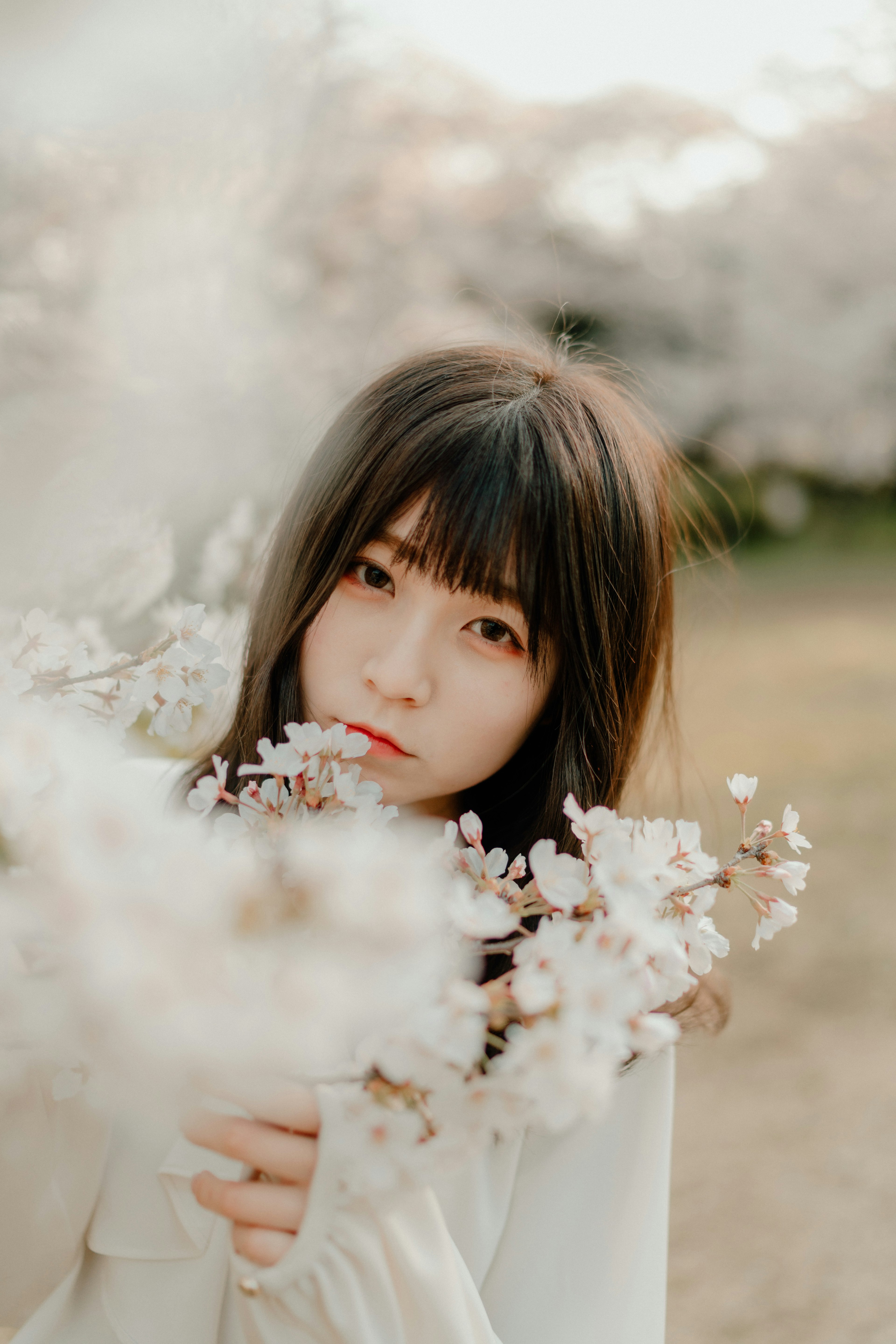 桜の花を持つ女性のポートレート 背景には満開の桜の木が見える