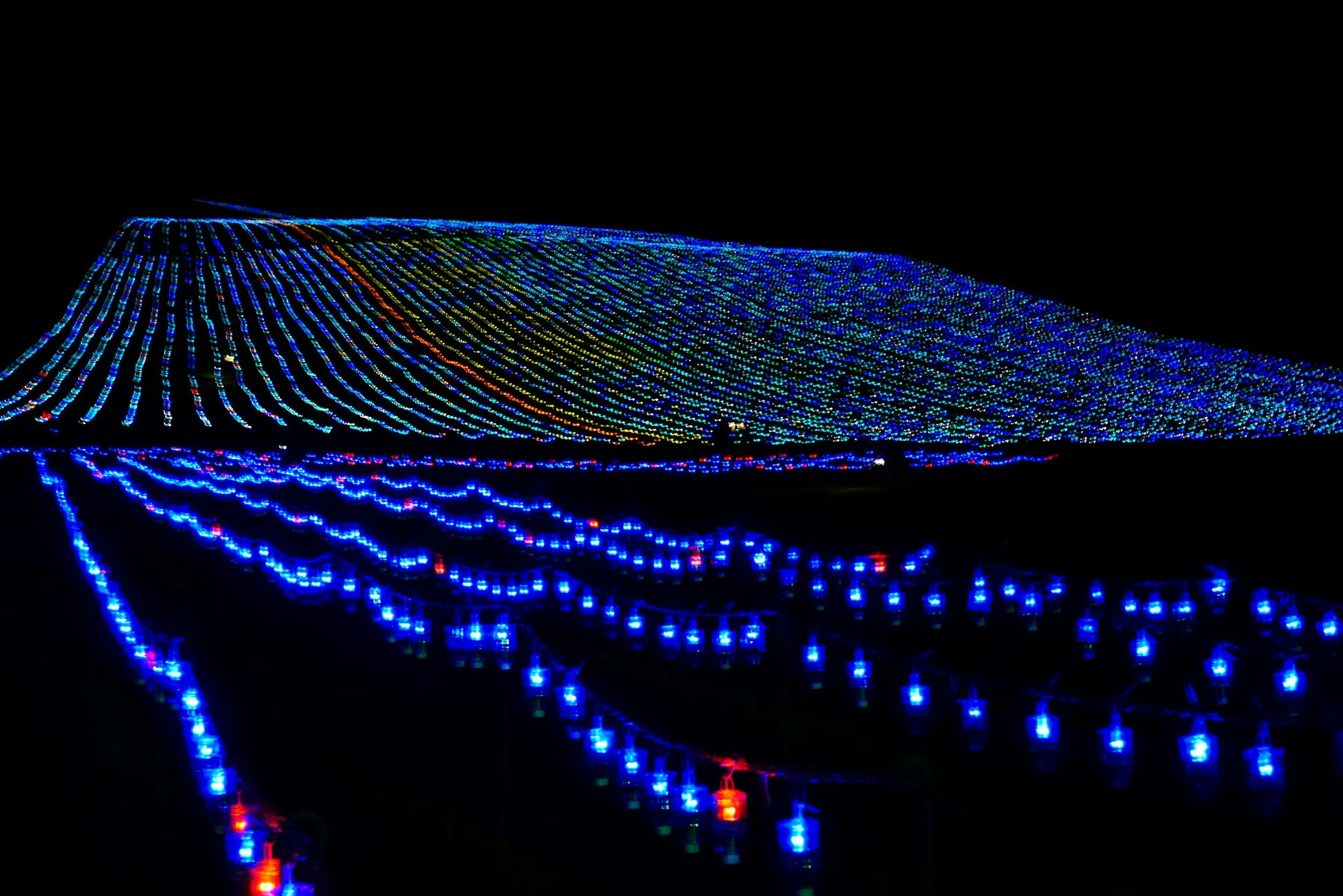 Exhibición colorida de luces bajo el cielo nocturno