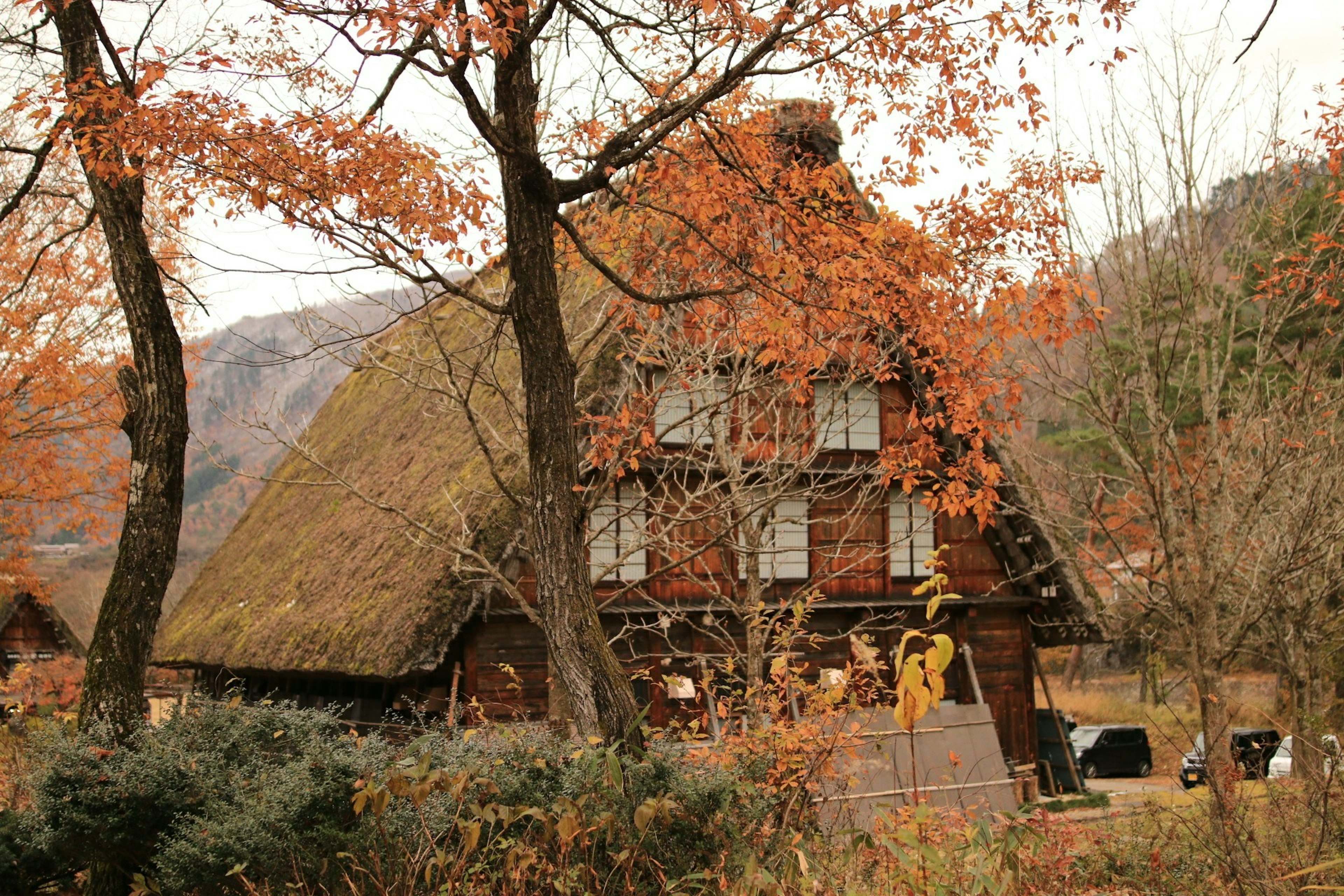 Traditional thatched-roof house surrounded by autumn foliage