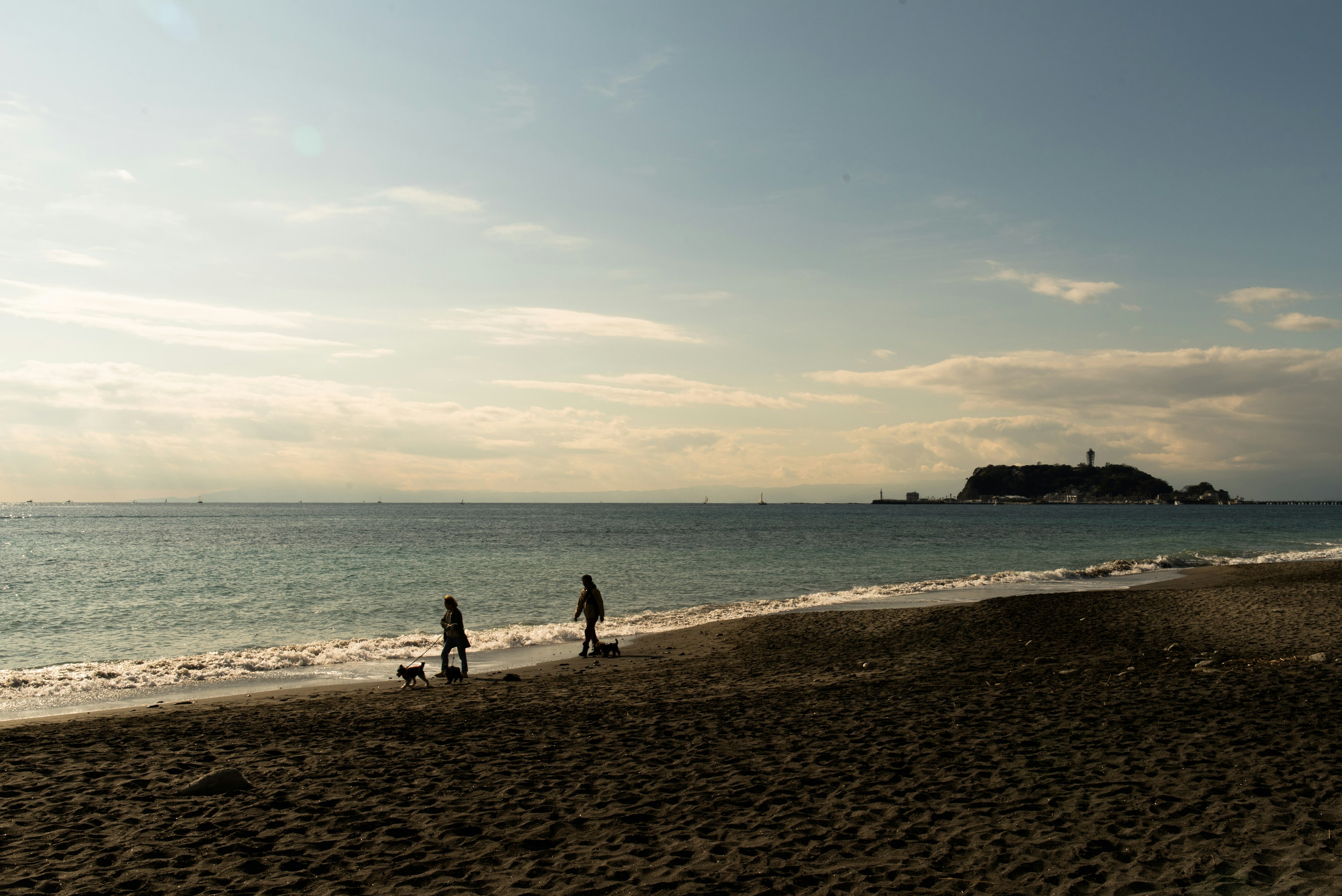 Two people walking a dog on the beach with a calm sea in the background