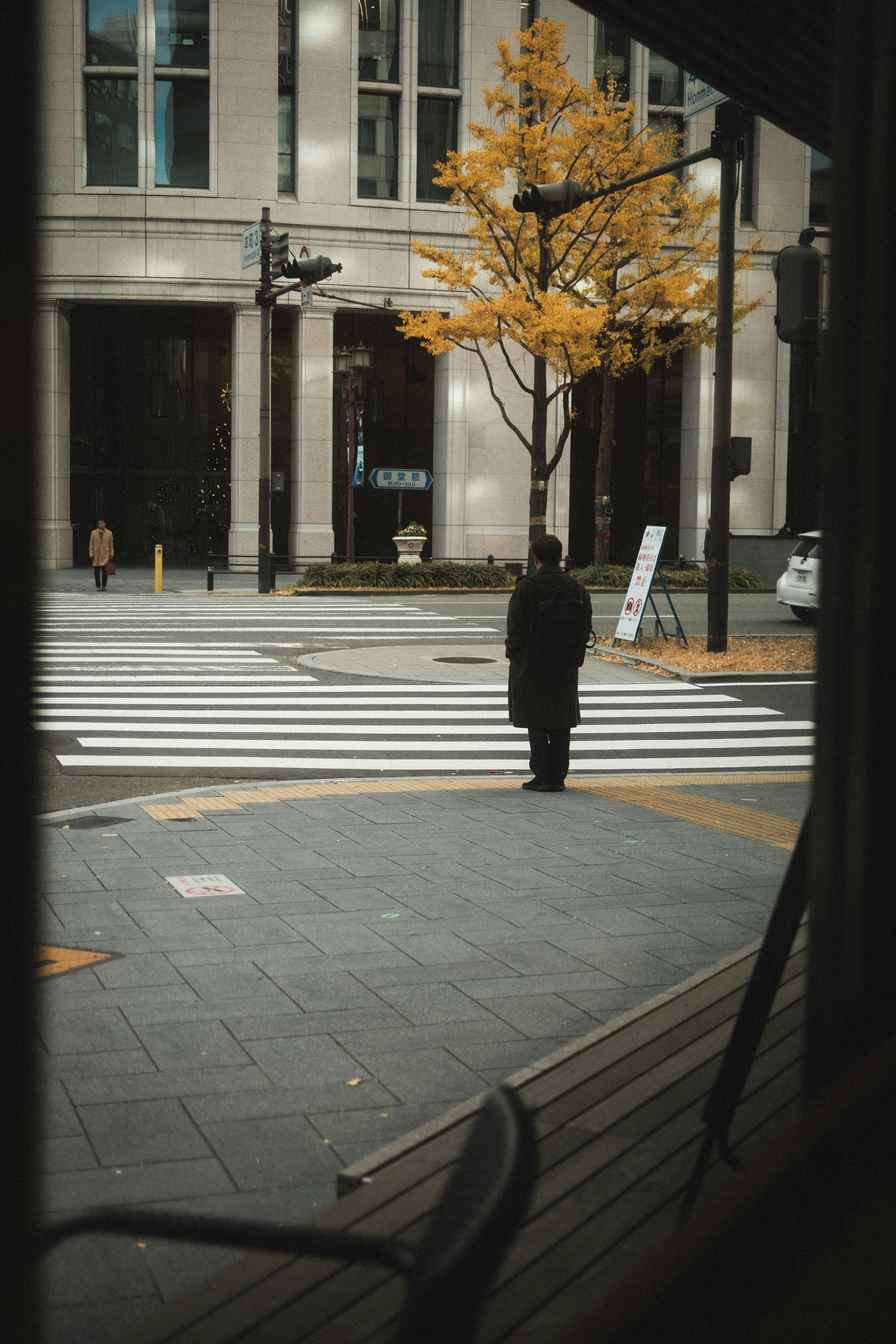 A person standing at a crosswalk with an autumn tree in an urban setting