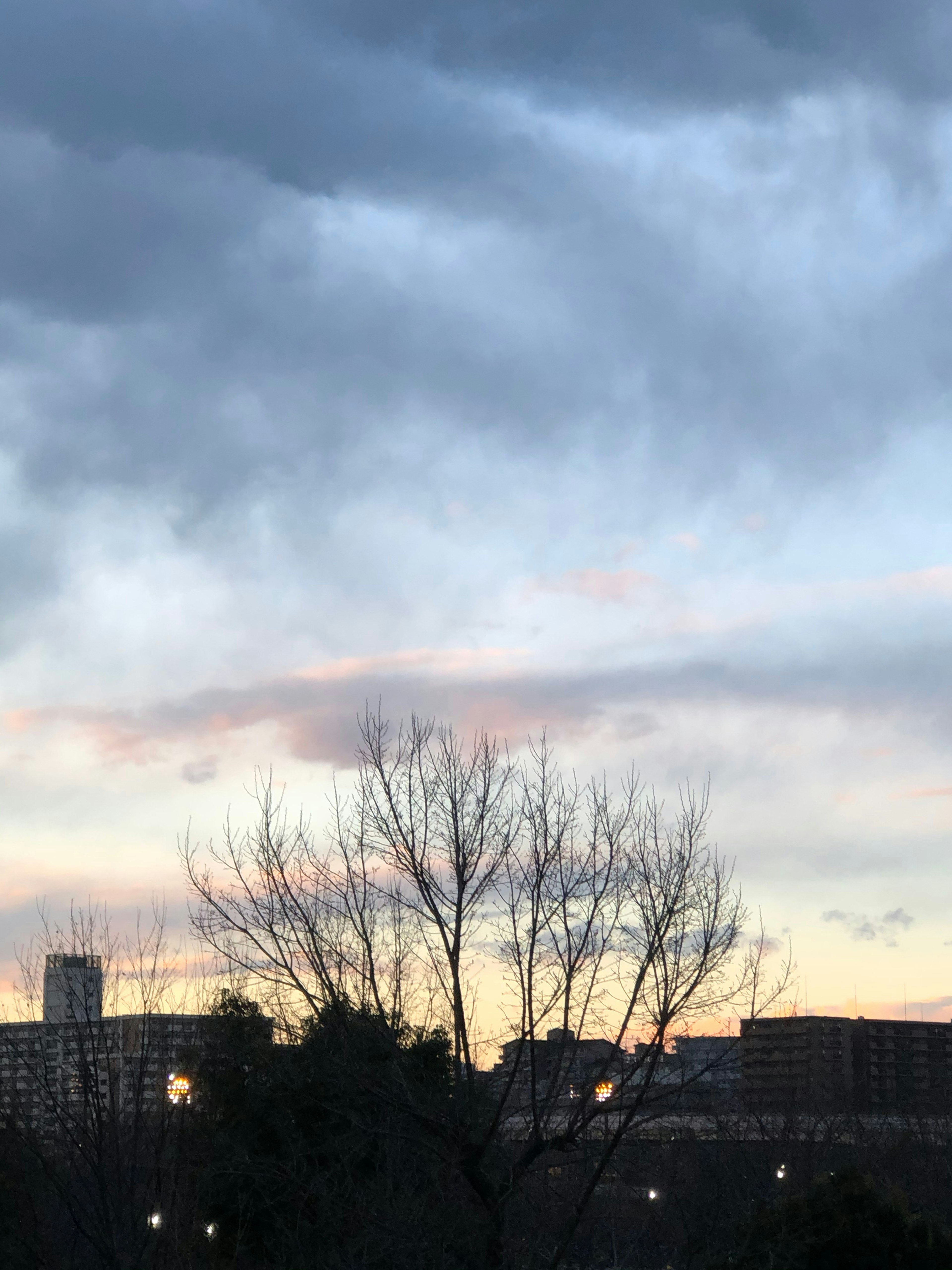 Silhouette of a tree against a cloudy sky and sunset