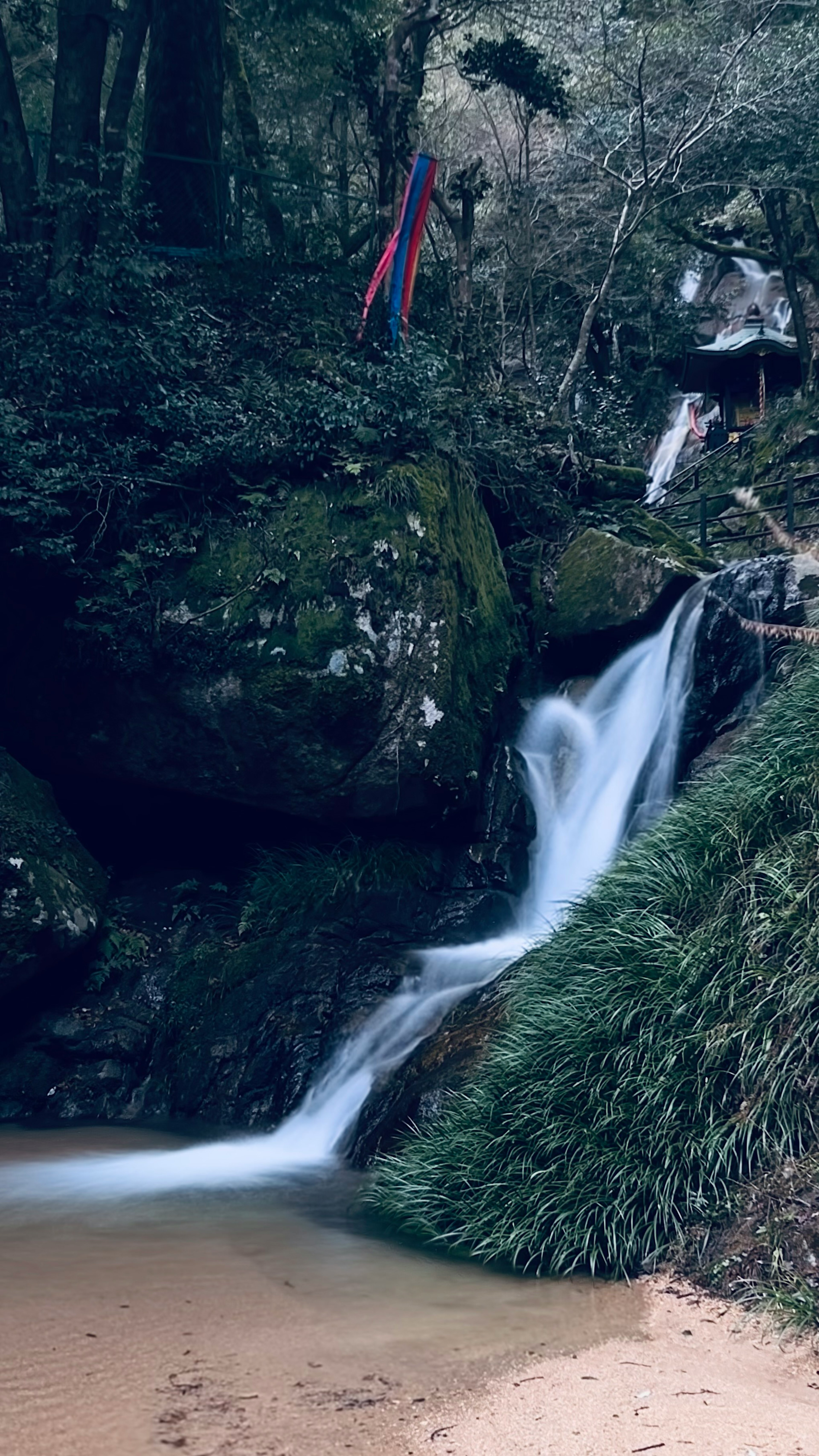 Una pequeña cascada que fluye en un bosque rodeado de vegetación y rocas