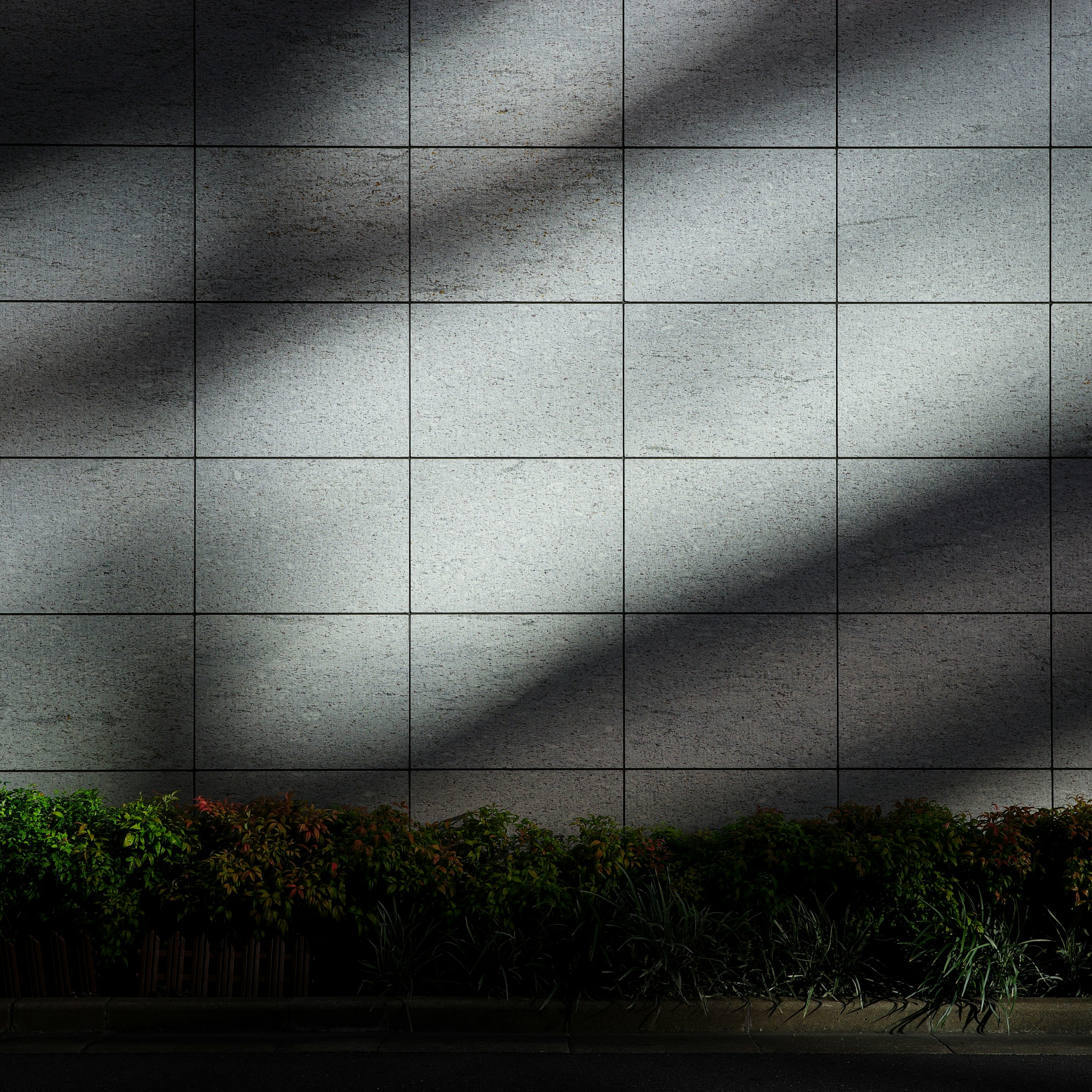 Mur en béton avec des rayures de lumière et des plantes vertes