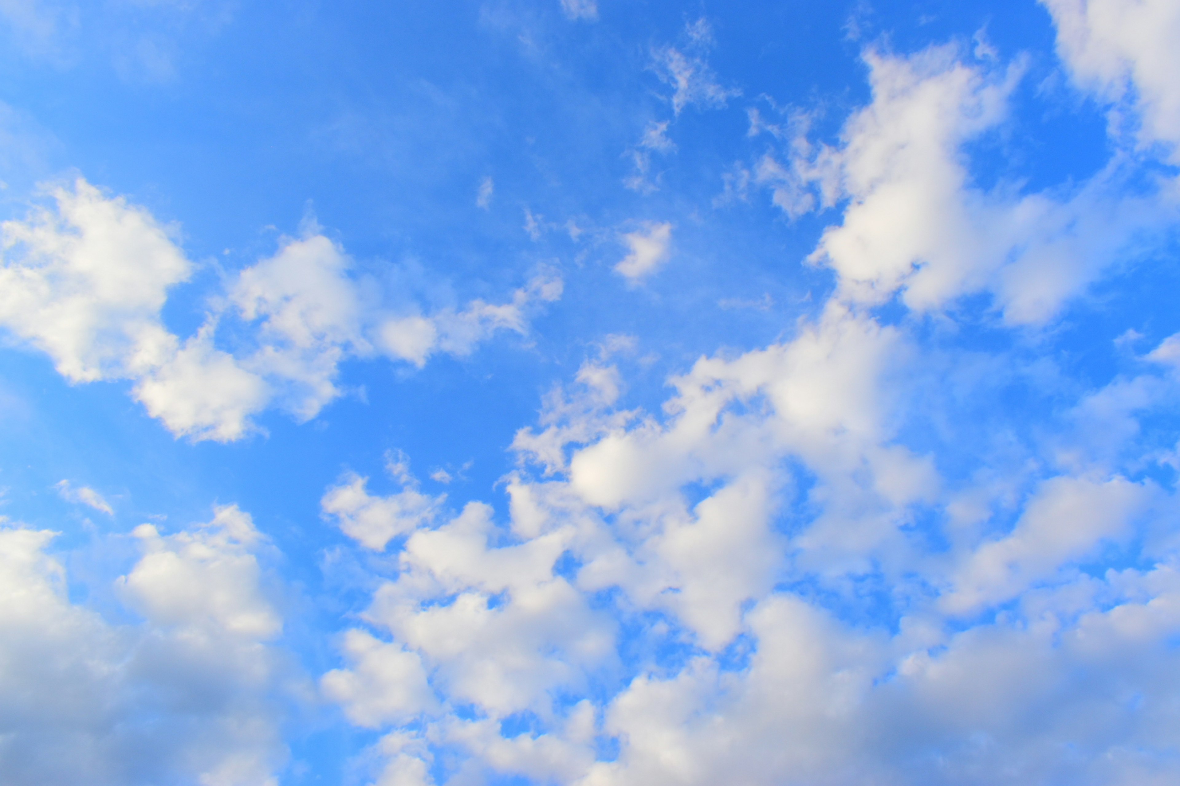 Ciel bleu expansif avec des nuages blancs duveteux