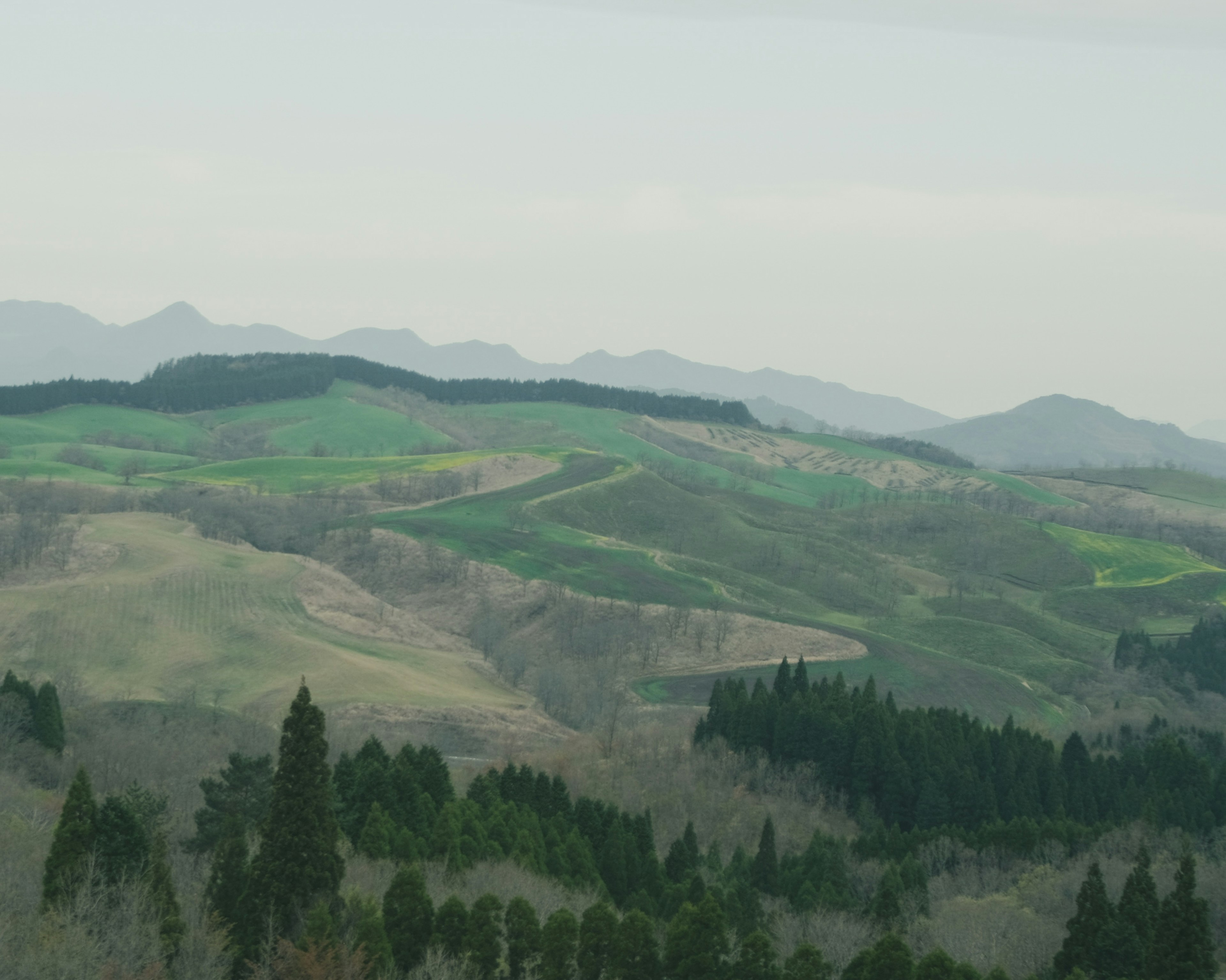 Landschaft mit sanften grünen Hügeln und fernen Bergen